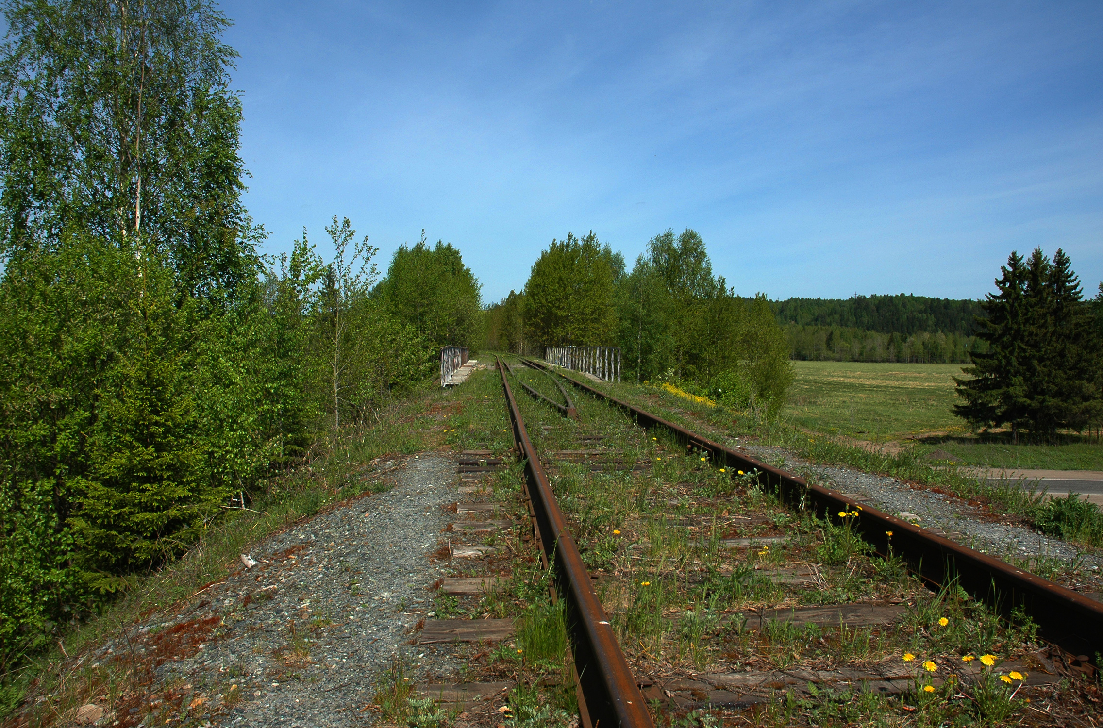 10 старые дороги. Железная дорога. Железная дорога природа. Лесополоса вдоль железной дороги. Железные дороги в лесах России.