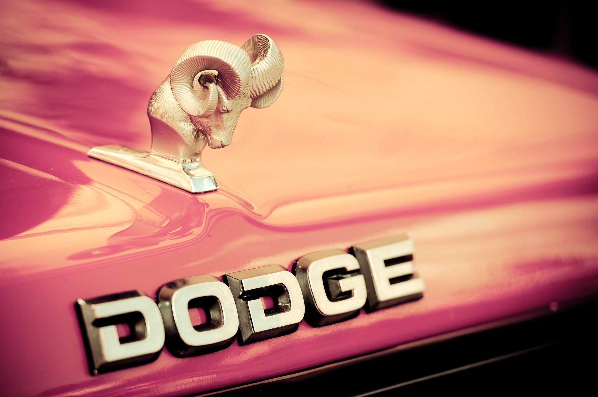 Картинки Dodge Логотип эмблема Бренды Автомобили вблизи 2048x1360