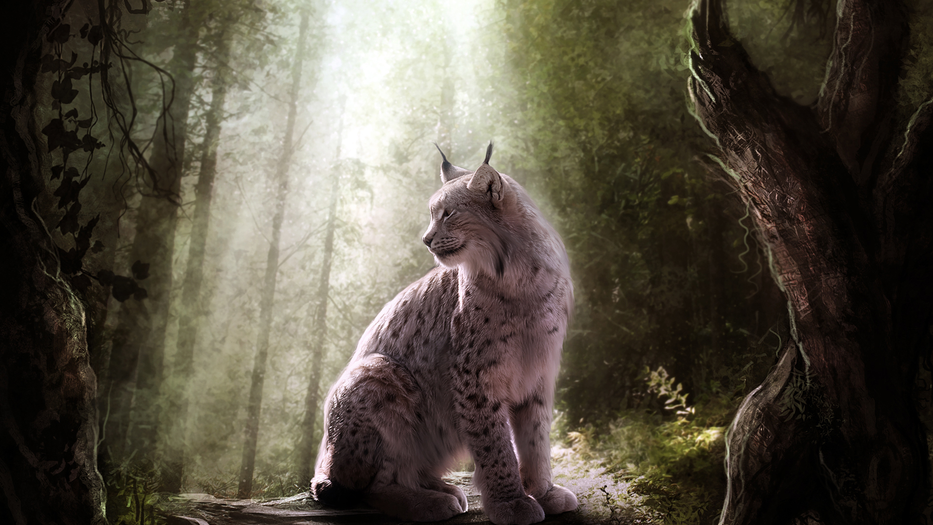Download wallpaper 938x1668 lynx big cat cute iphone 876s6 for  parallax hd background