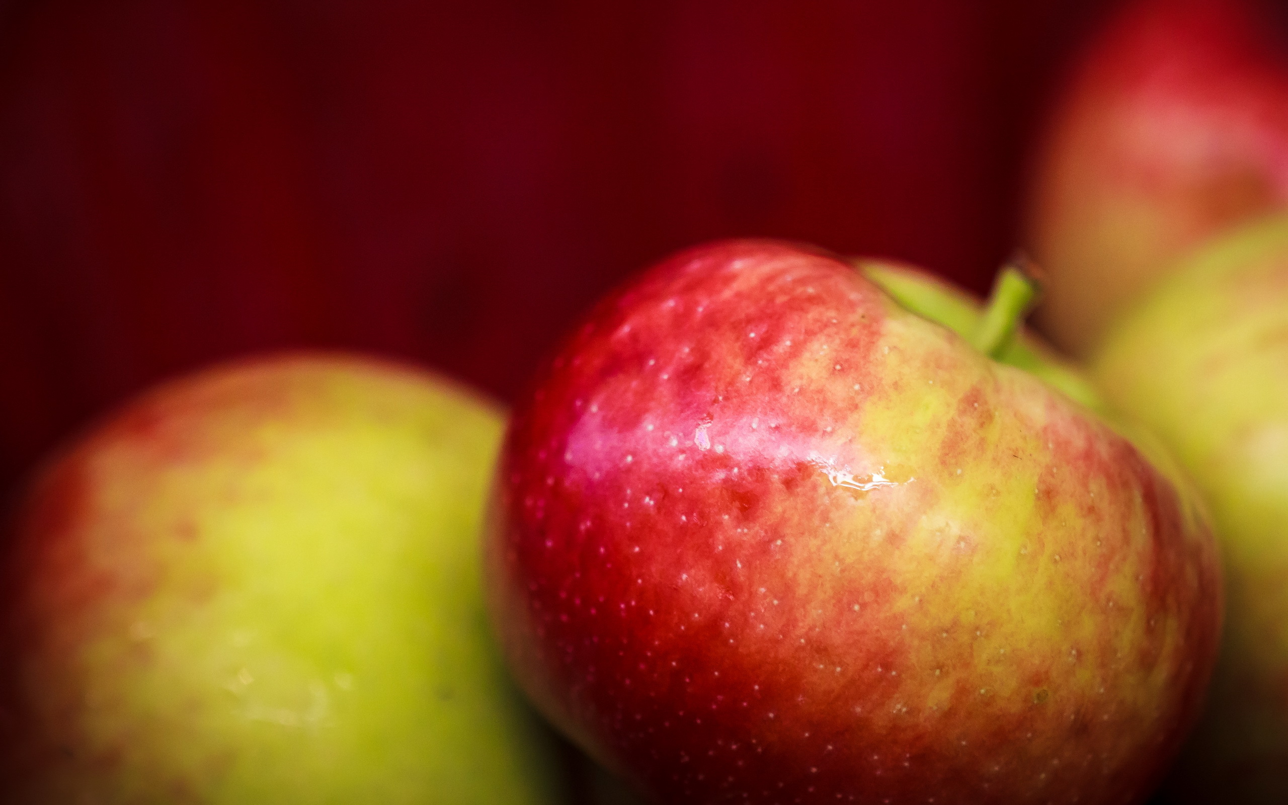 zdjęcia Jabłka Jedzenie Z bliska 2560x1600 żywność zbliżenie