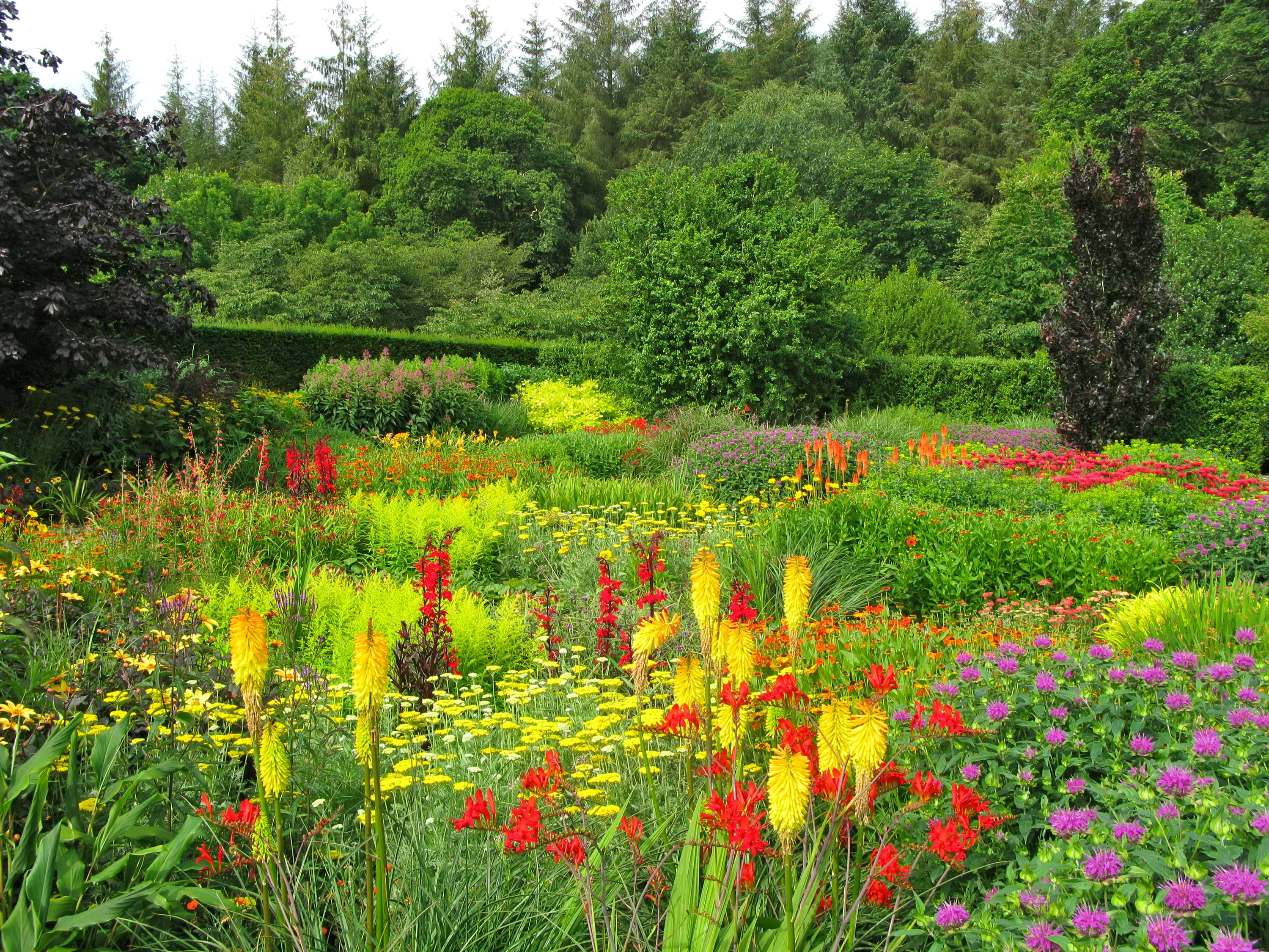 Много трав лето. Флауэрс Гарден парк. Удивительная красота растений. Сад с цветами. Цветы летние садовые.