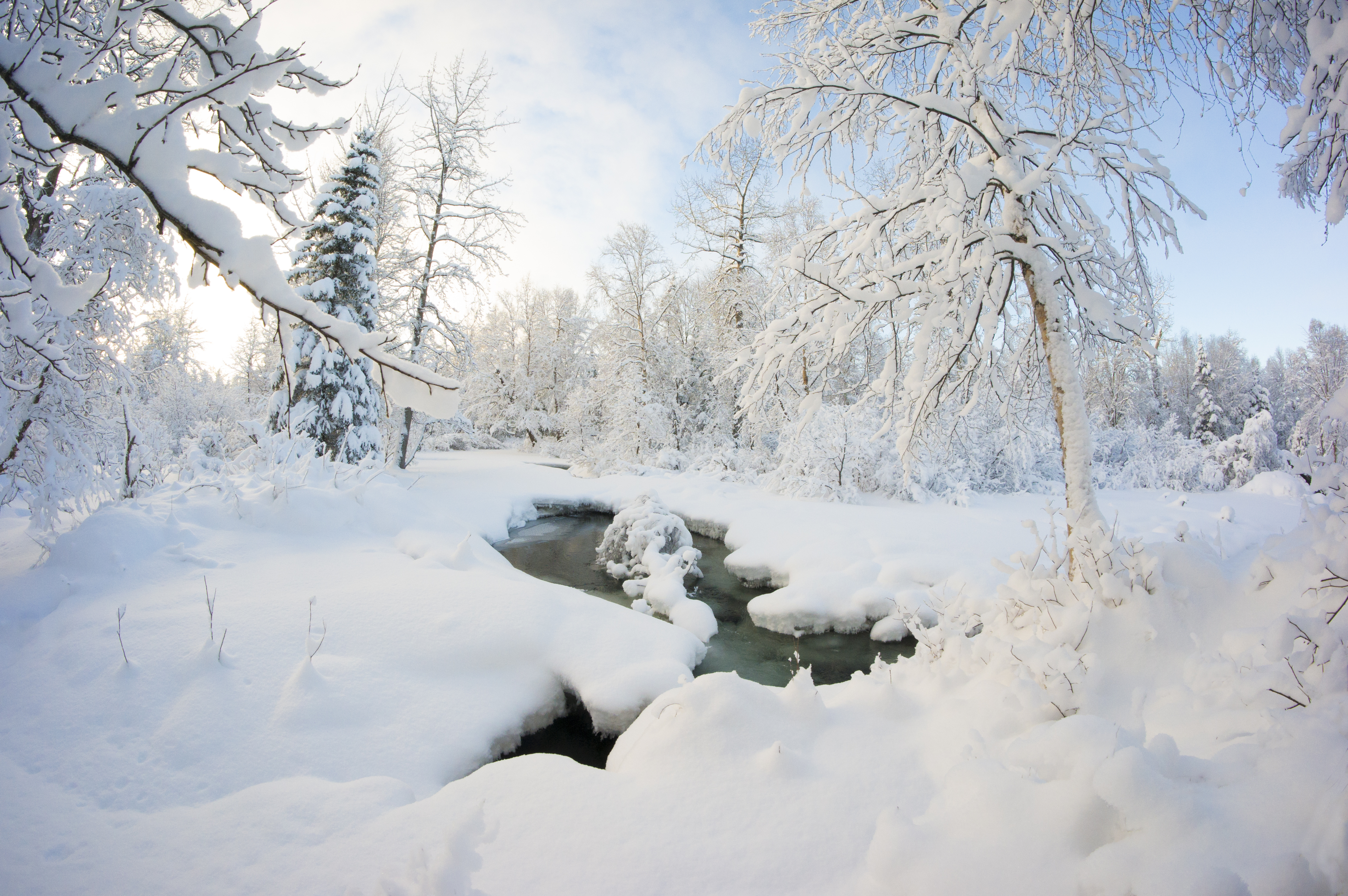Картинка зимний период. Зимняя природа. Зимний лес. Зима снег. Речка зимой в лесу.