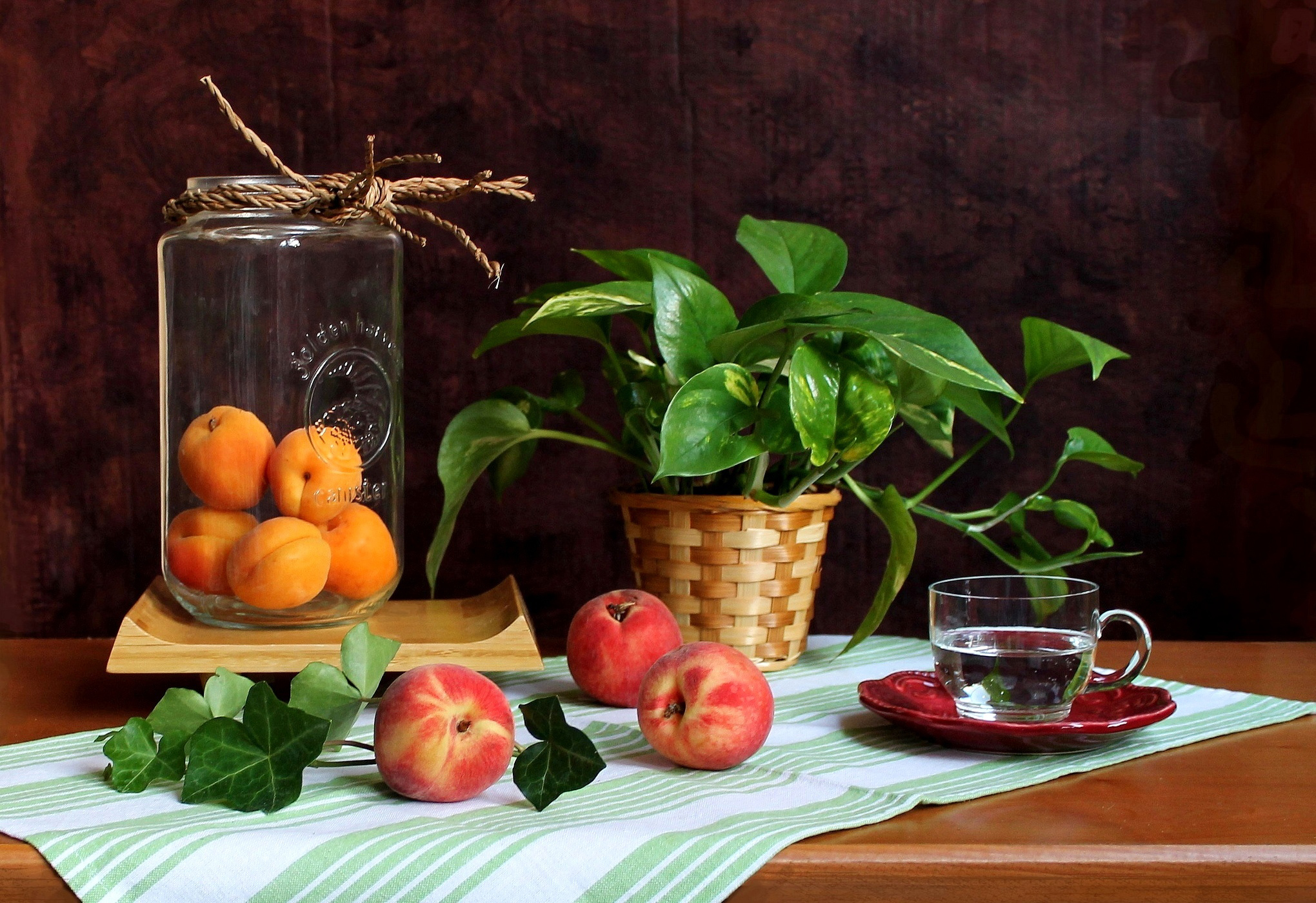 Still life. Натюрморт. Красивый натюрморт на кухню. Фотонатюрморты с абрикосами. Фотонатюрморты для кухни.