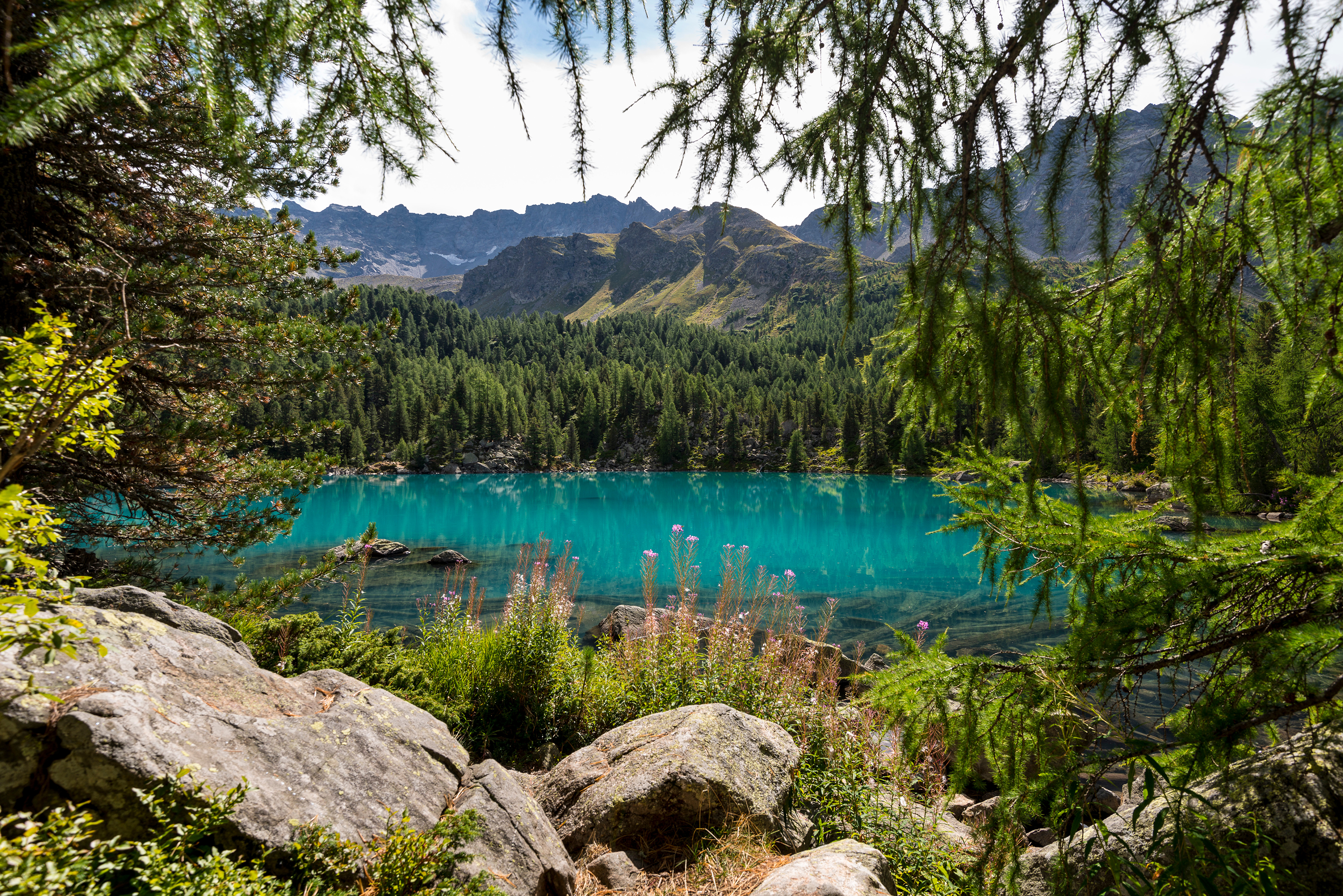 Озеро возле леса. Озеро Кольсай. Голубые озера КБР. Шварцвальд озеро. Голубое озеро Альпы.