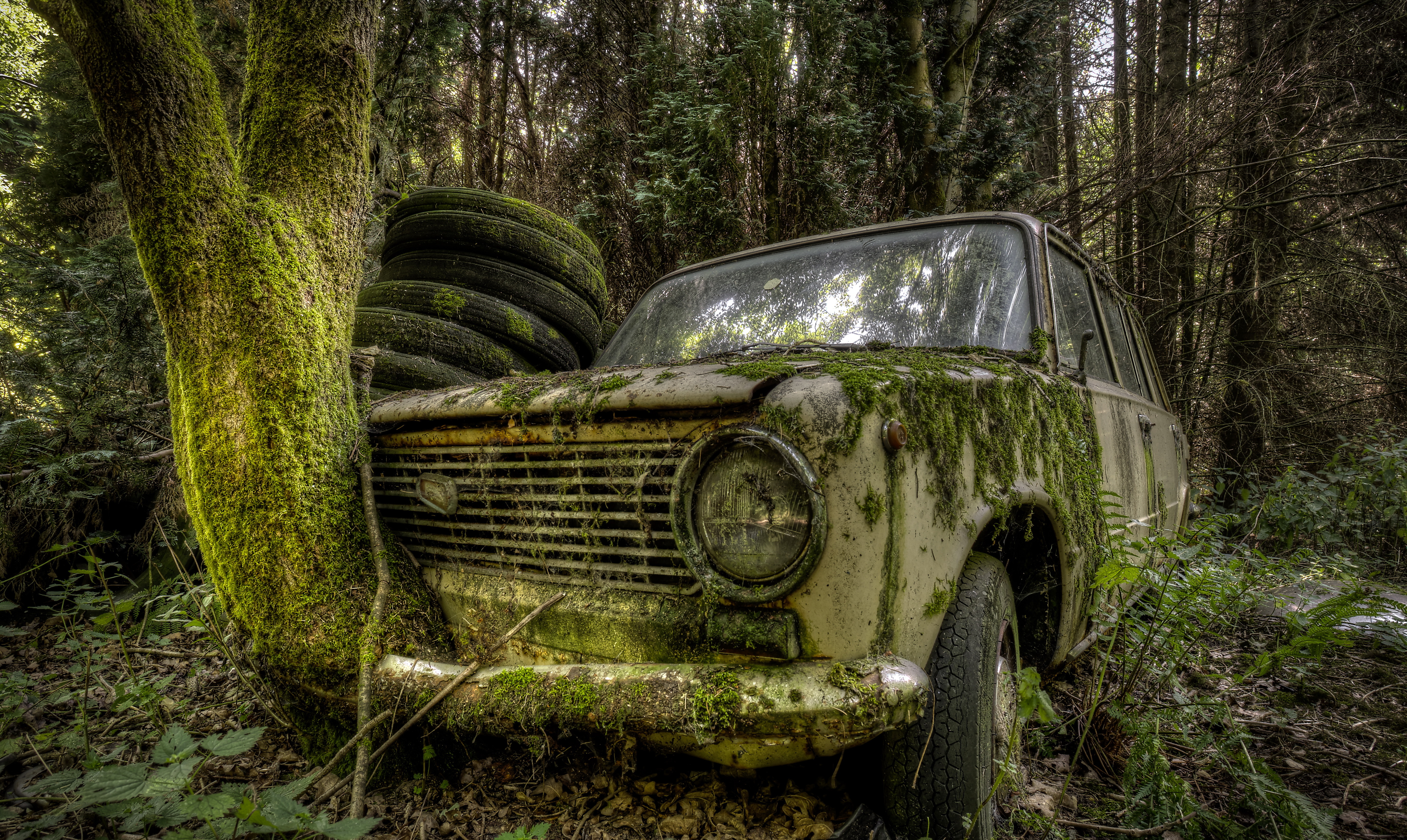 壁紙 5492x3279 森林 ロシア車 コケ 古い 自動車 ダウンロード 写真