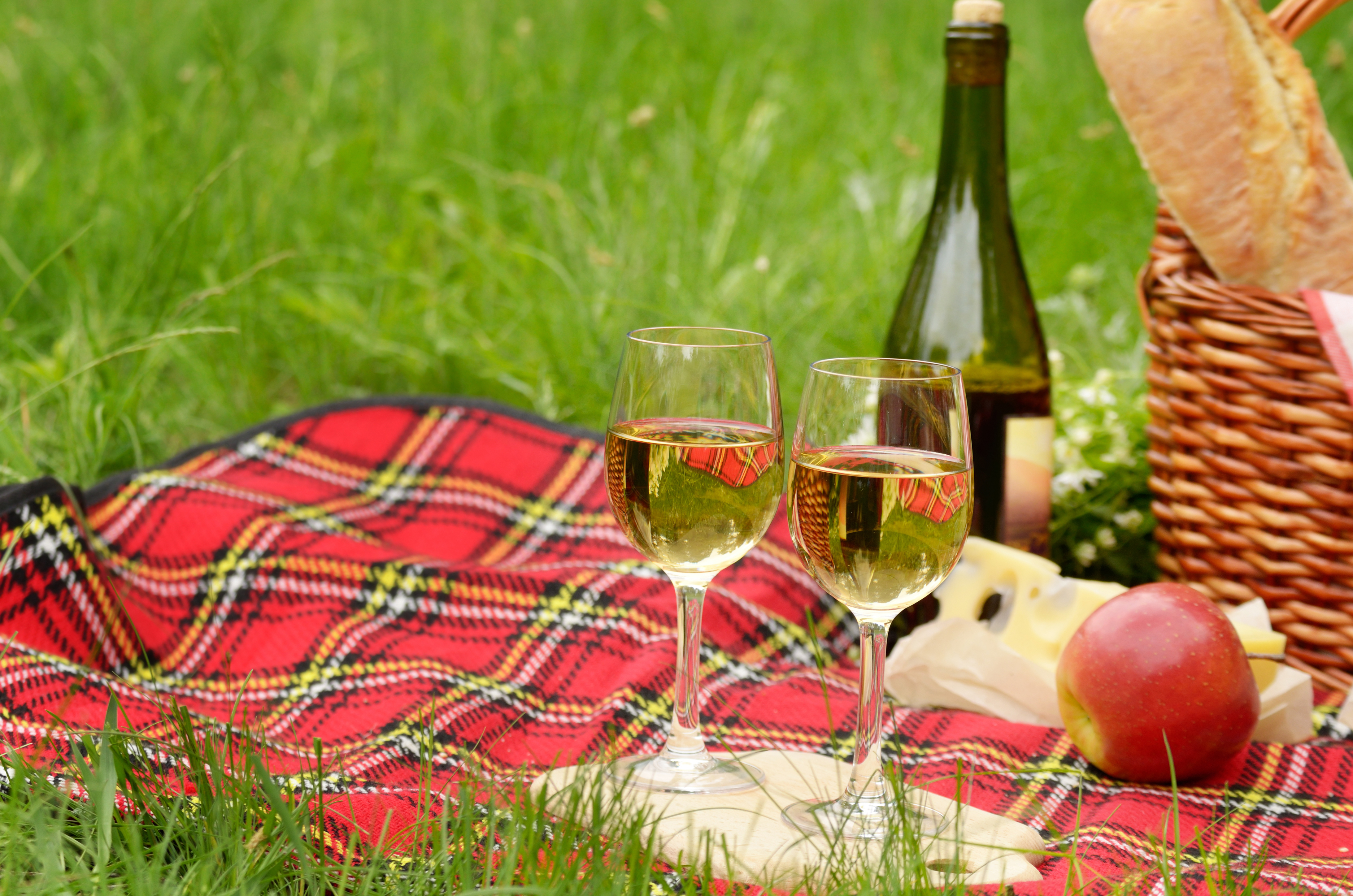 Вино пикник