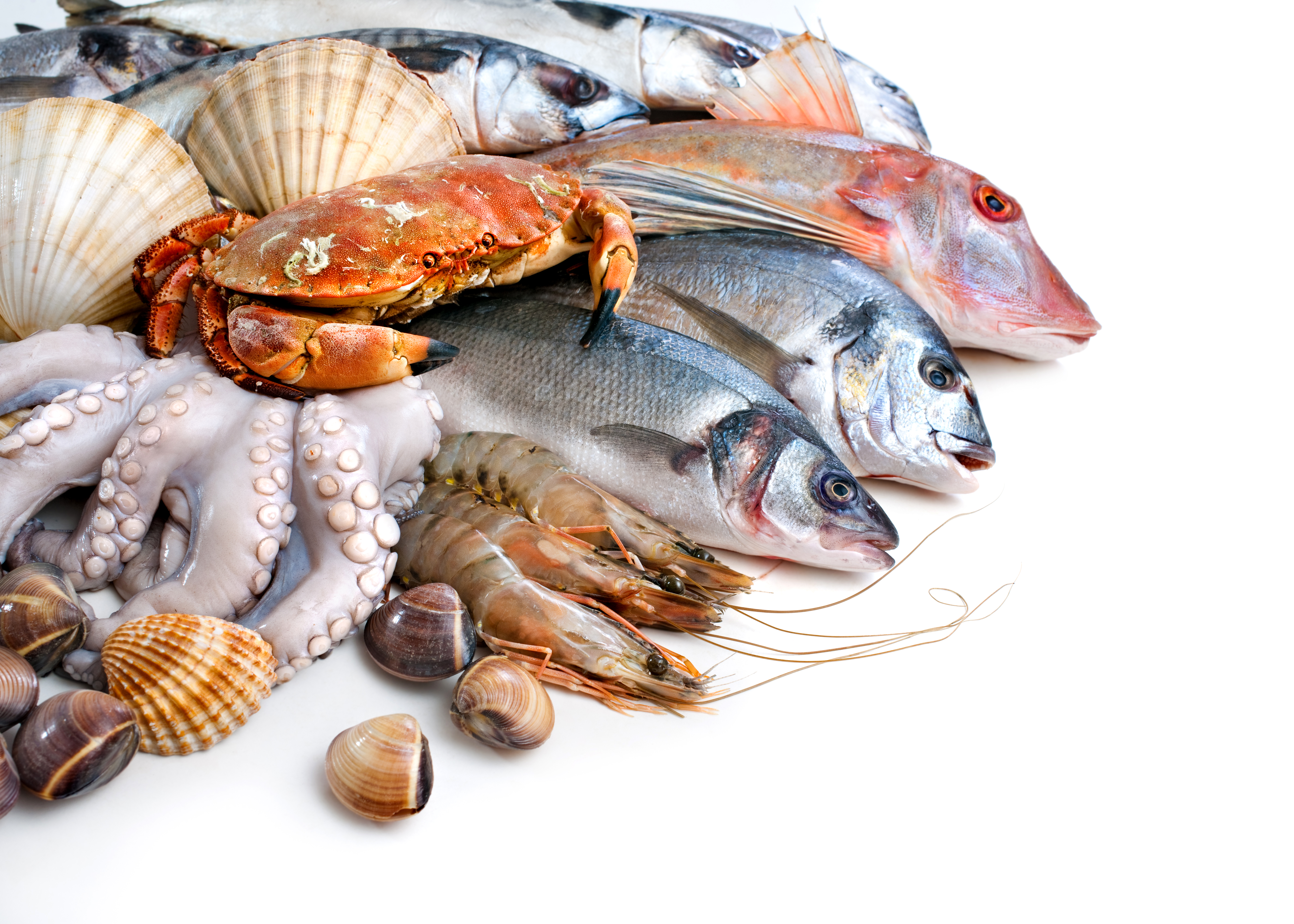 ，海鮮，鱼类菜肴，虾，蟹，白色背景，食品，食物，
