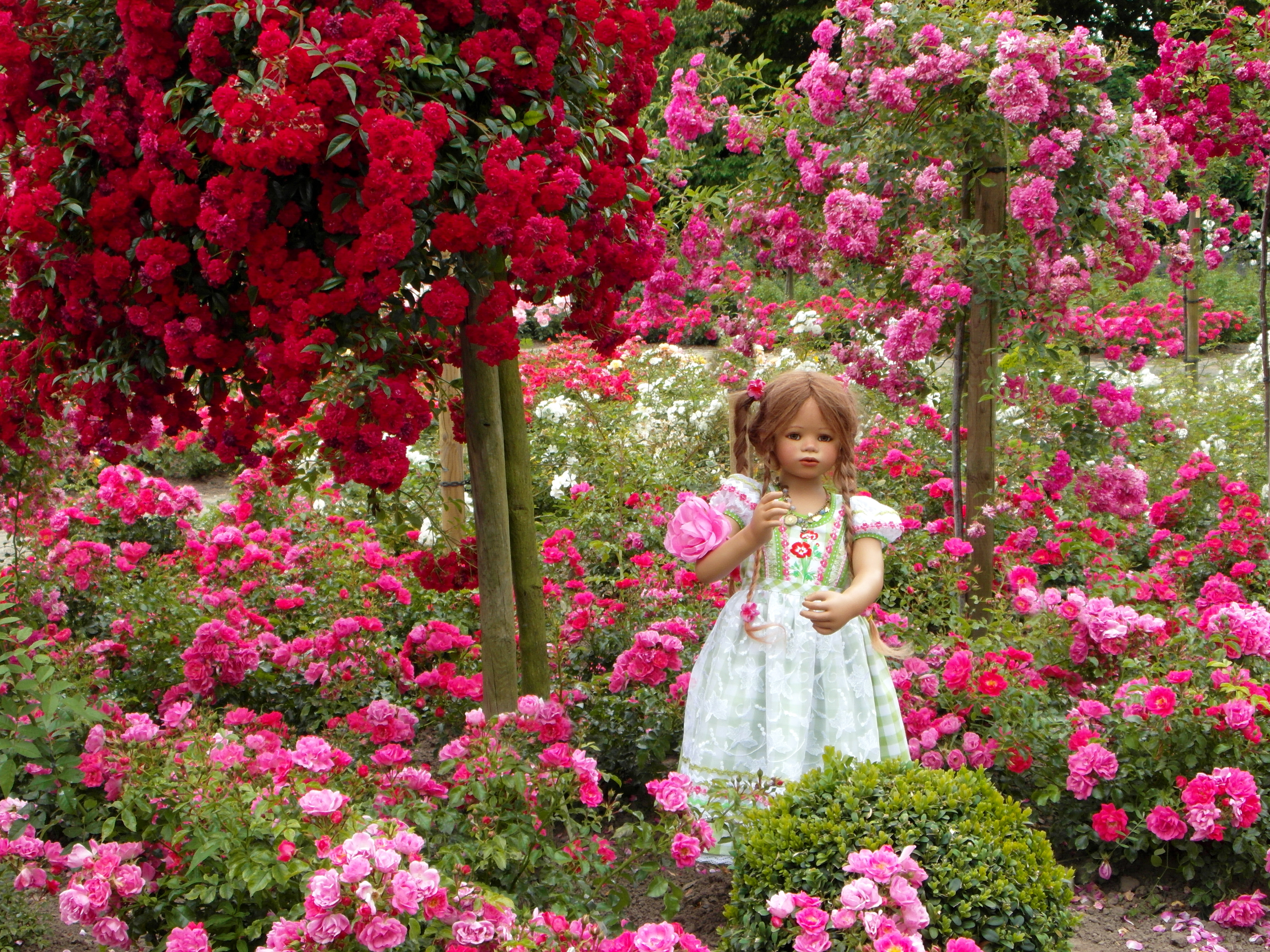В саду гудят. Розовый сад Баден-Баден Германия. Гюлистан-сад роз. Сад с цветами.
