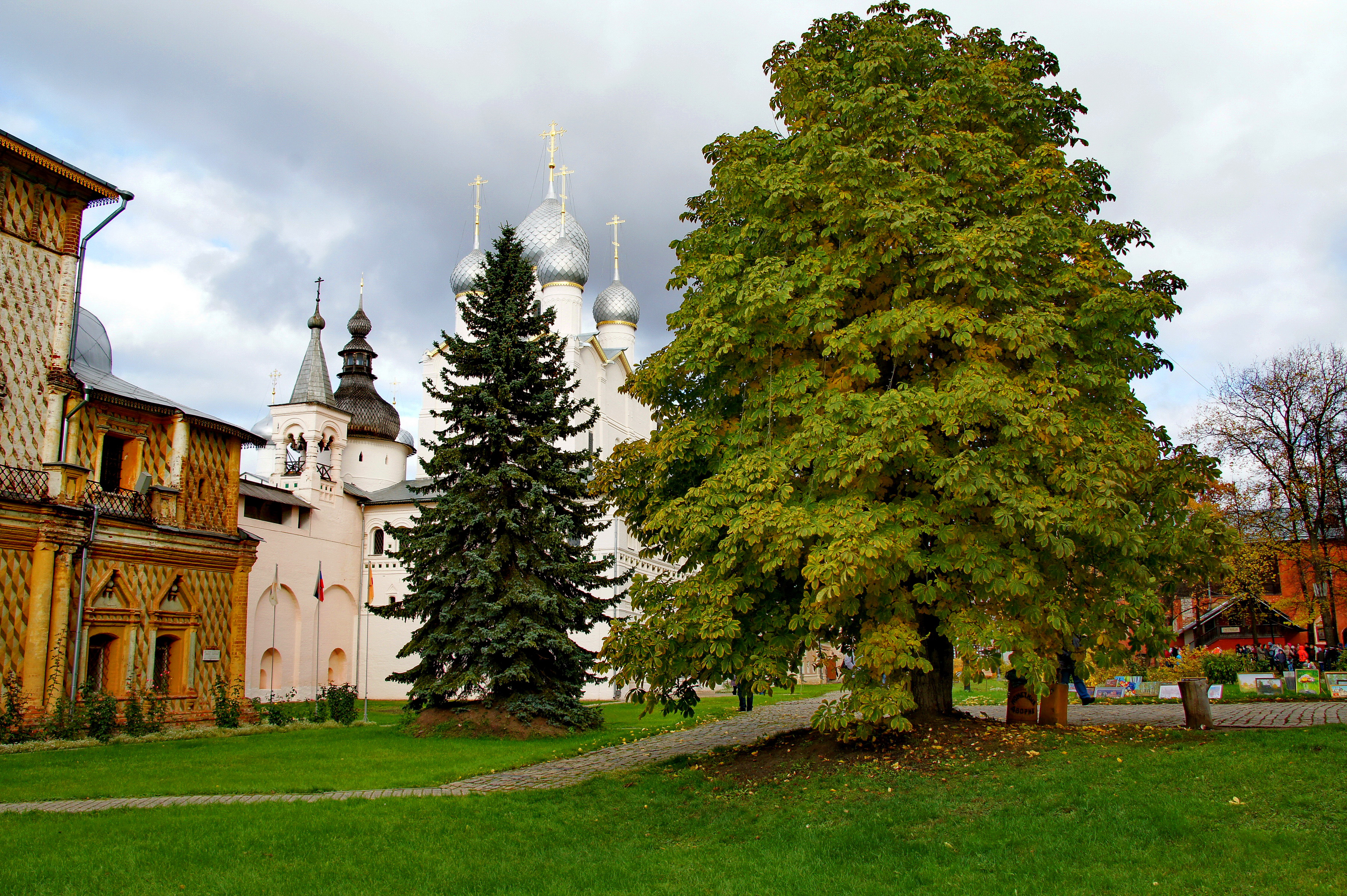 Город ели. Ростов Великий ель\. Деревья в городе. Деревья в городах России. Церковь и деревья город.