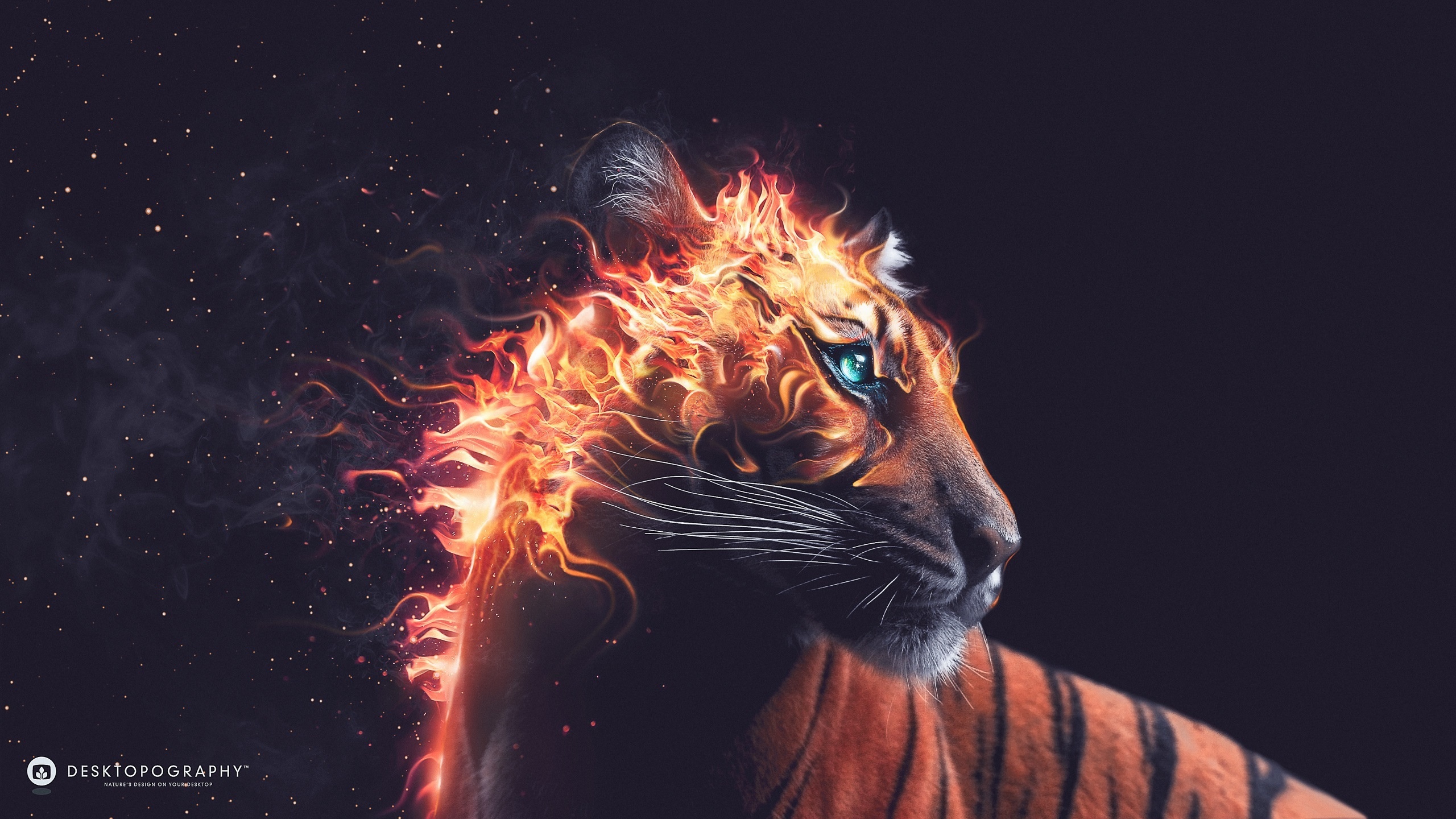 3d Fire Tiger Wallpaper