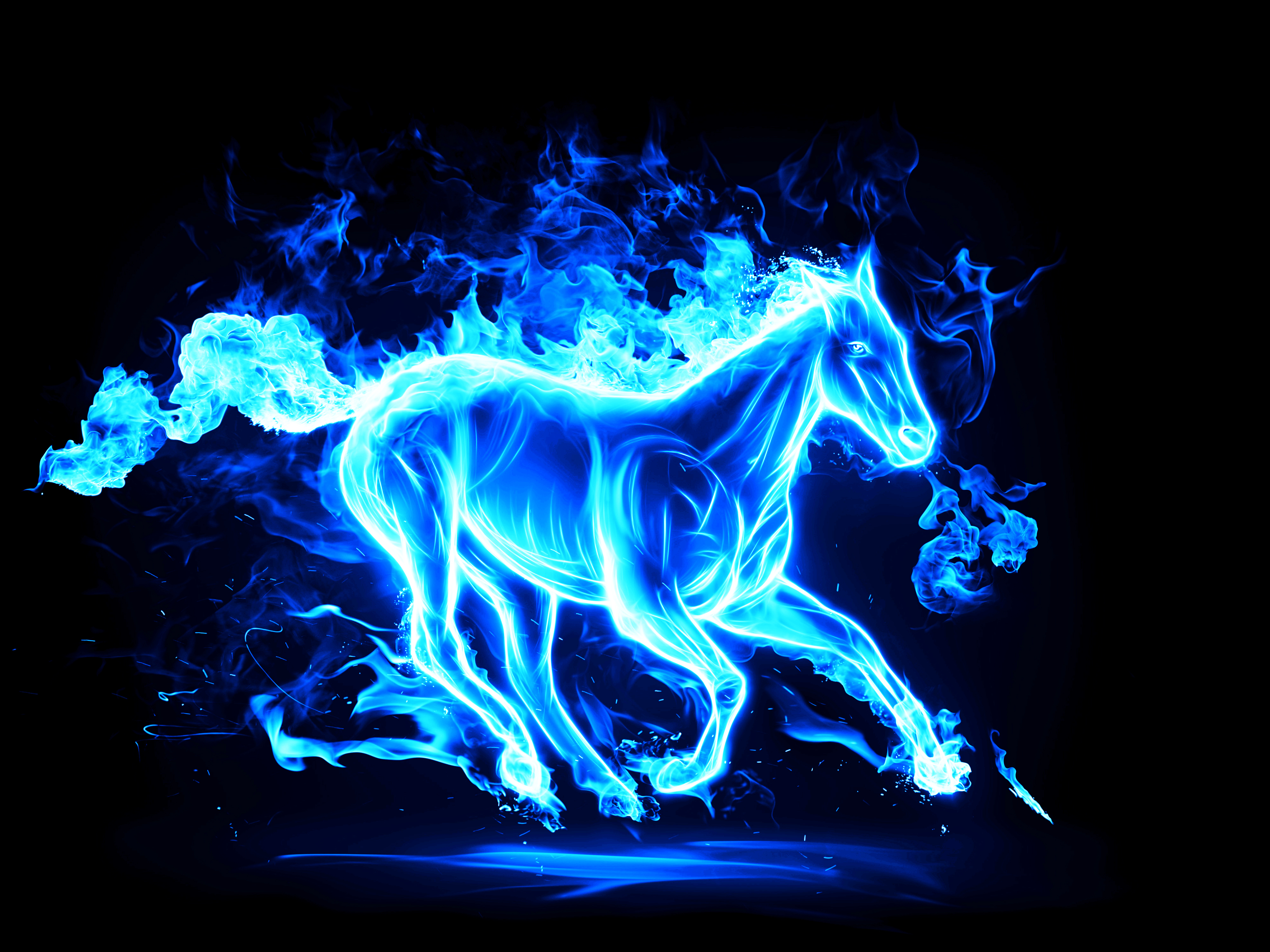 zdjęcie Konie Grafika 3D płomień zwierzę 3950x2962 koń Ogień Zwierzęta
