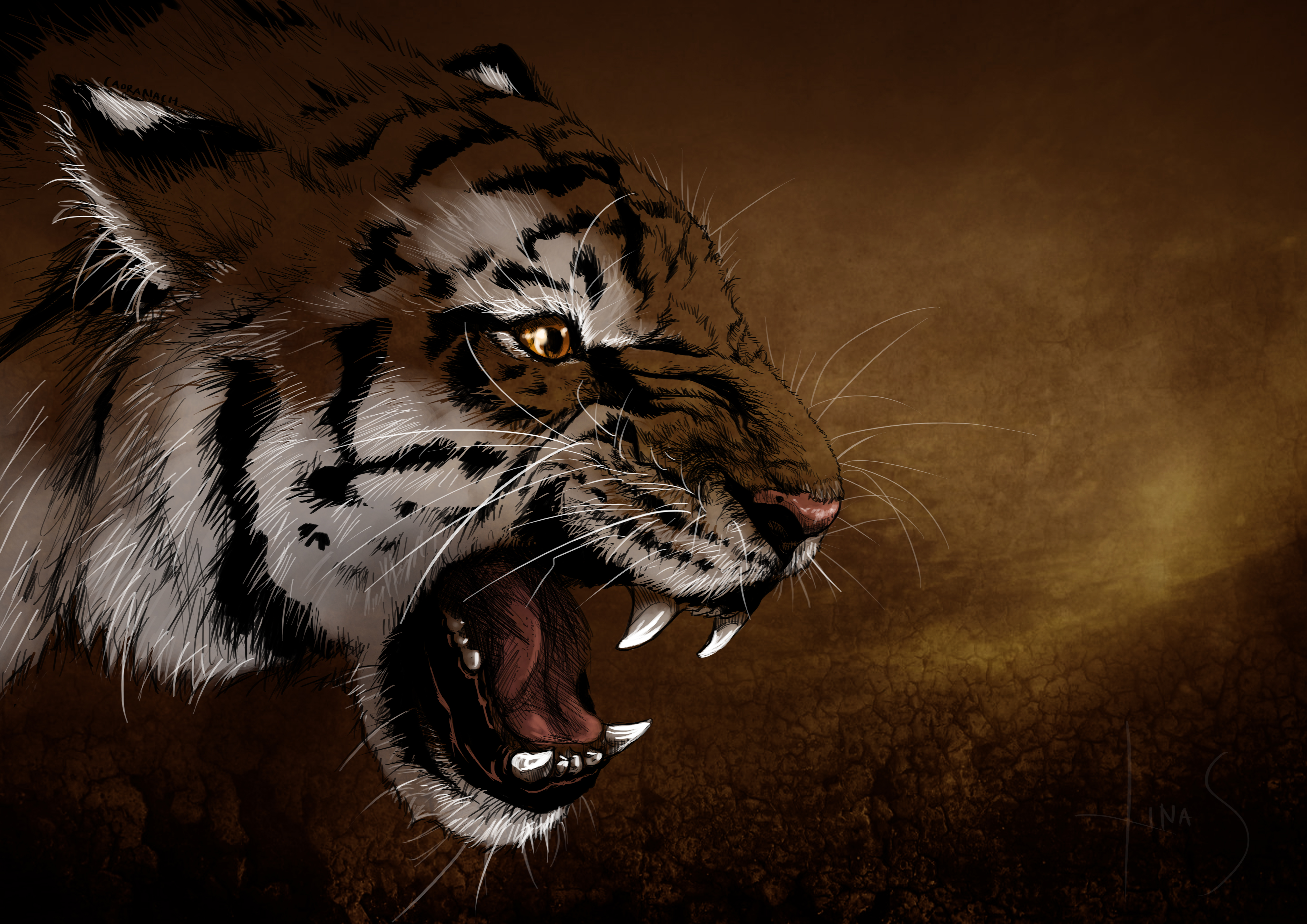 Papeis de parede Tigre Fauve Ver Rictus Focinho Dentes 3D Gráfica