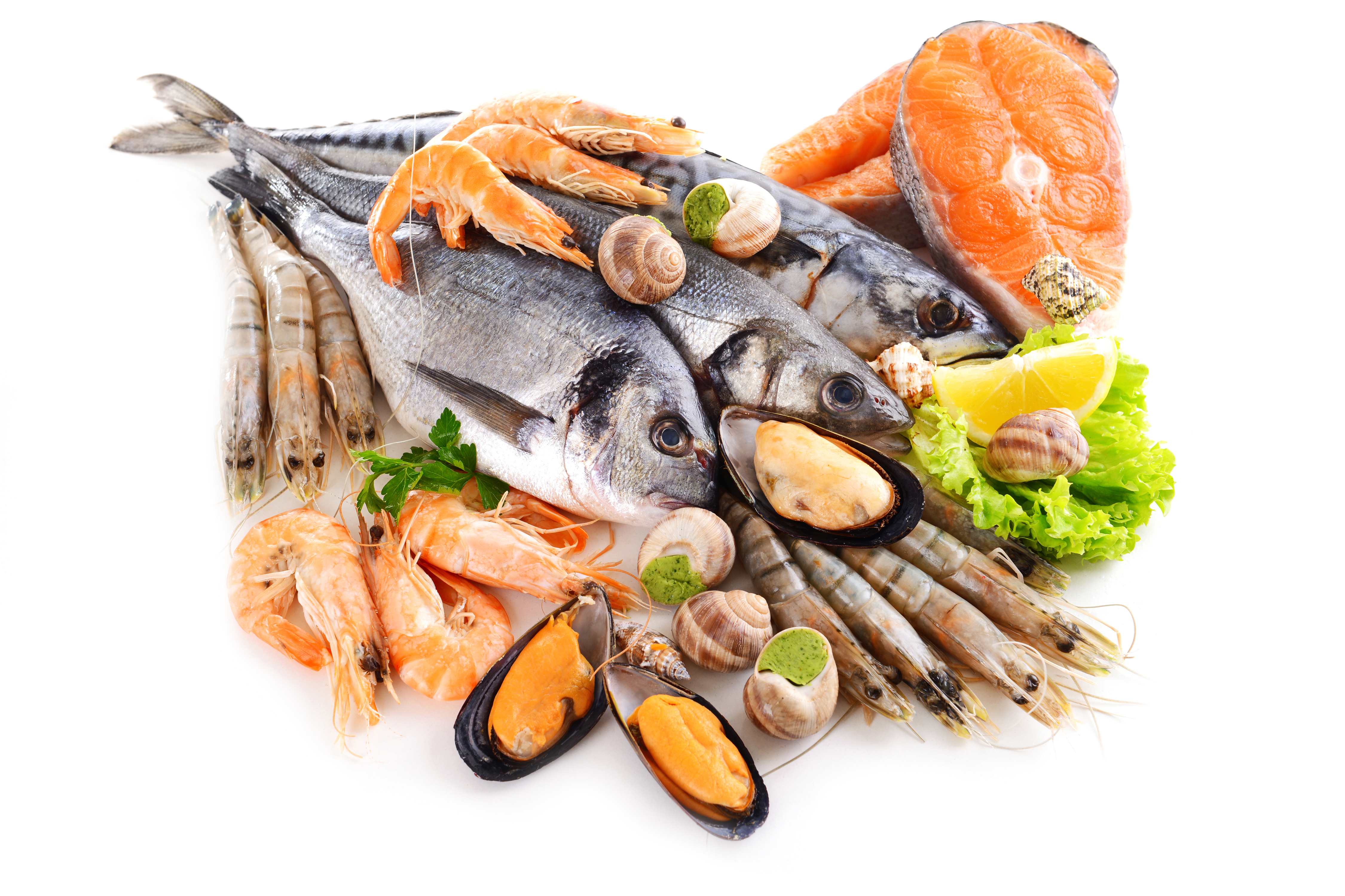 Fish product. Рыба и морепродукты. Мор рыбы. Морепродукты на белом фоне. Рыба и рыбные продукты.
