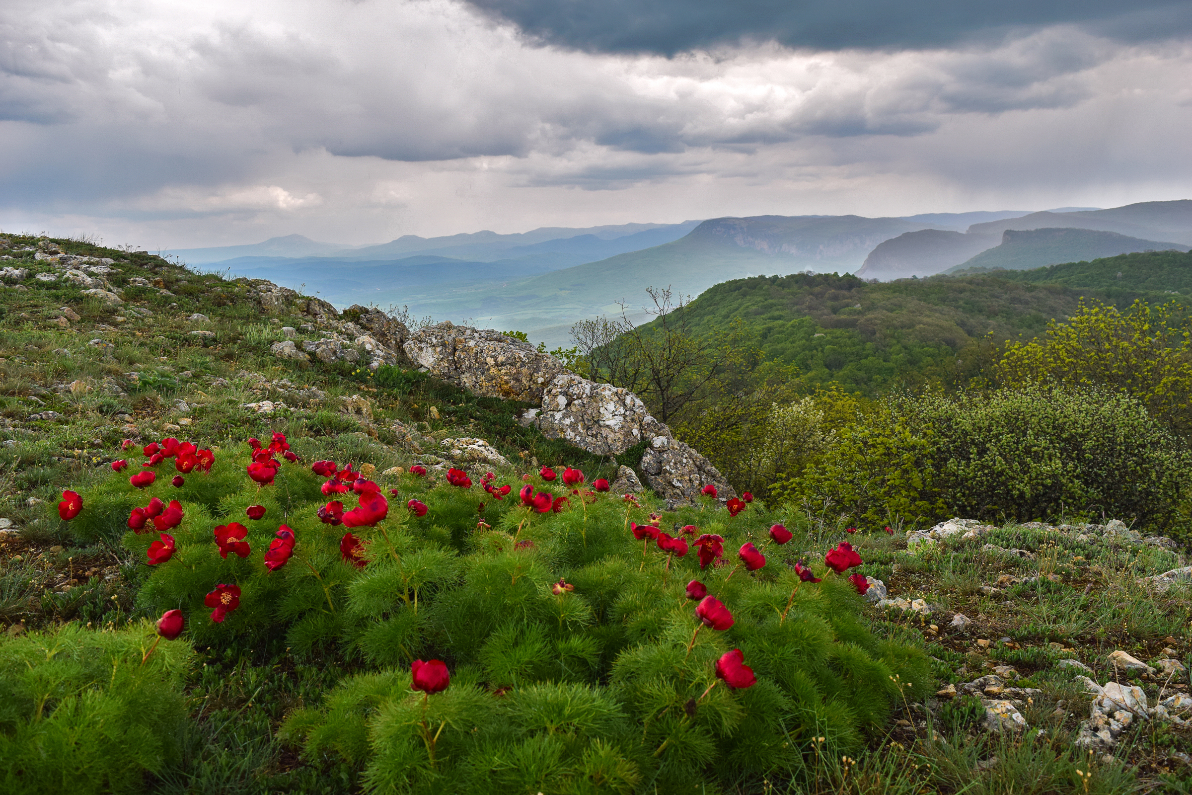 Без преувеличения это благодатная земля потрясающей природы. Долина роз Судак. Долина роз Крым. Природа Крыма холмы Крыма.