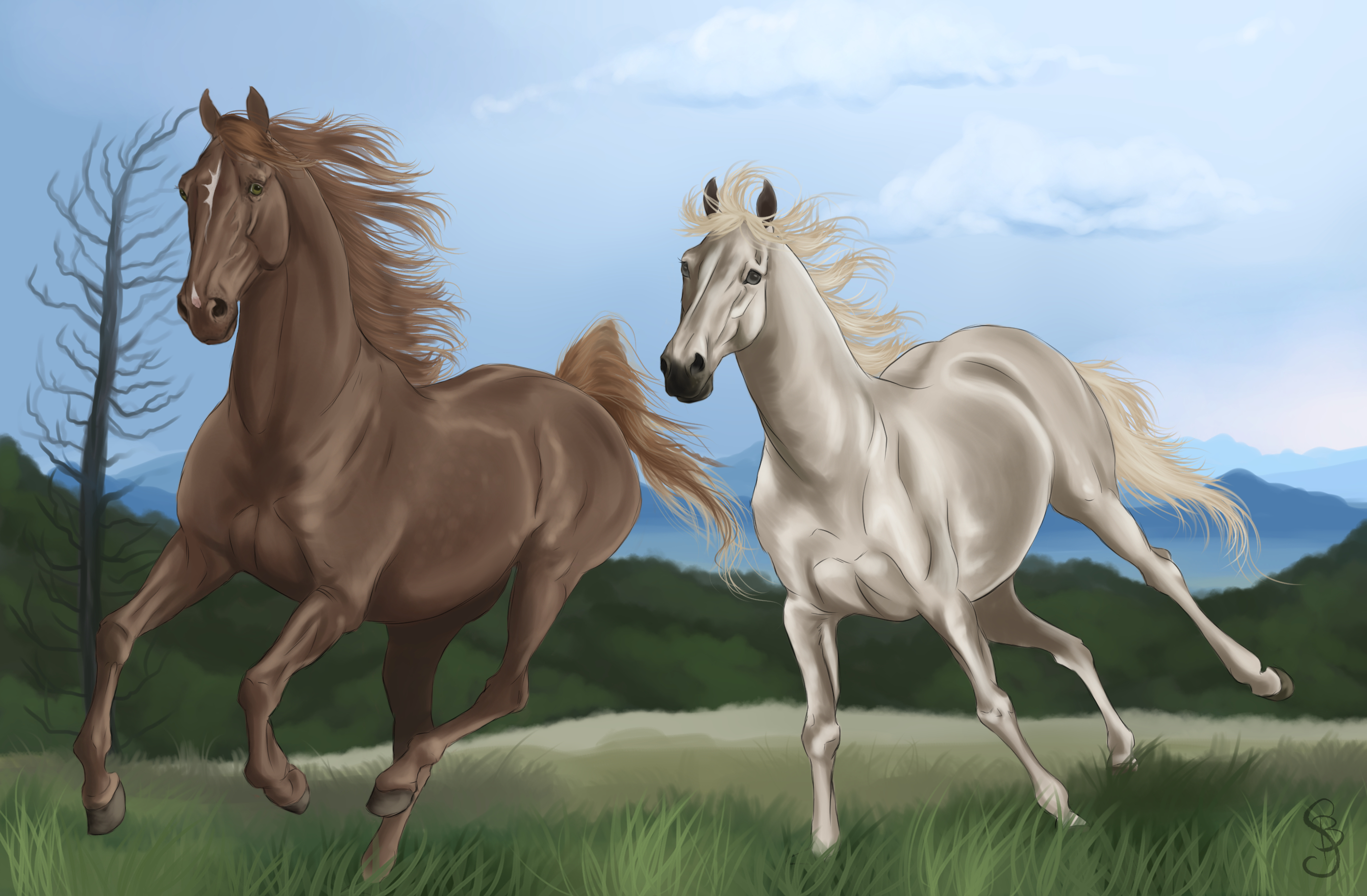 Лошадь картинки рисунки. Лошадь рисунок. Картинки лошадей. Лошадь картинка для детей. Красивые картины лошадей.