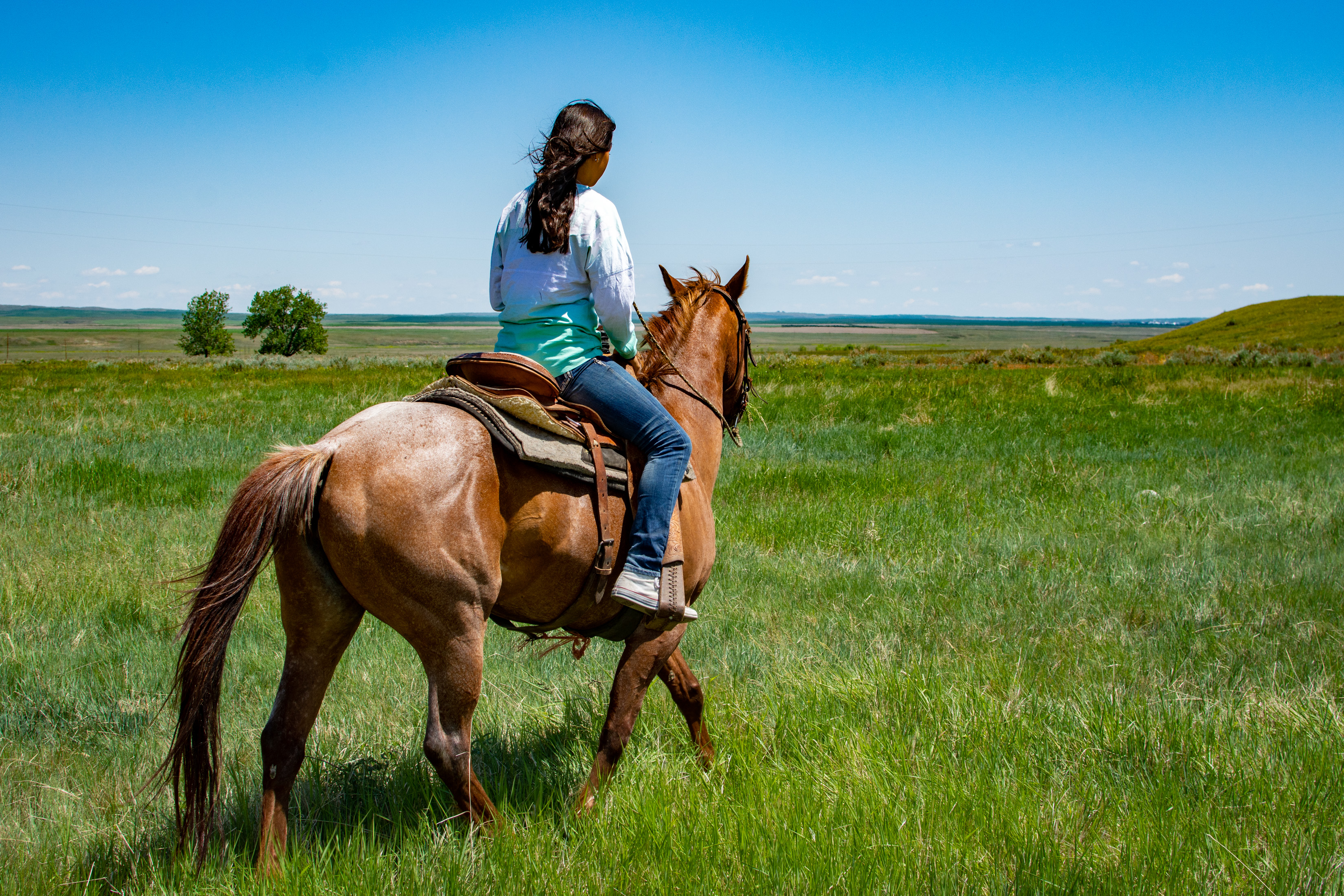 Ехал на коне вел. Прогулка на лошадях. Лошади на лугу. Девушка с лошадью. Девушка сидит на лошади.
