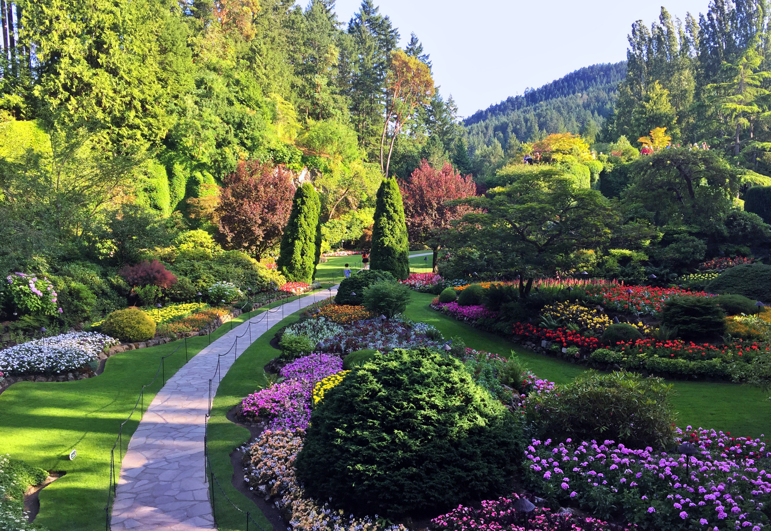 Ваш красивый сад. Сады Бутчартов Канада. "Сады Бутчартов (the Butchart Gardens) Ванкувер, Канада. Сады Бутчартов Британская Колумбия Канада. Сад Бутчартов в Канаде розовый сад.