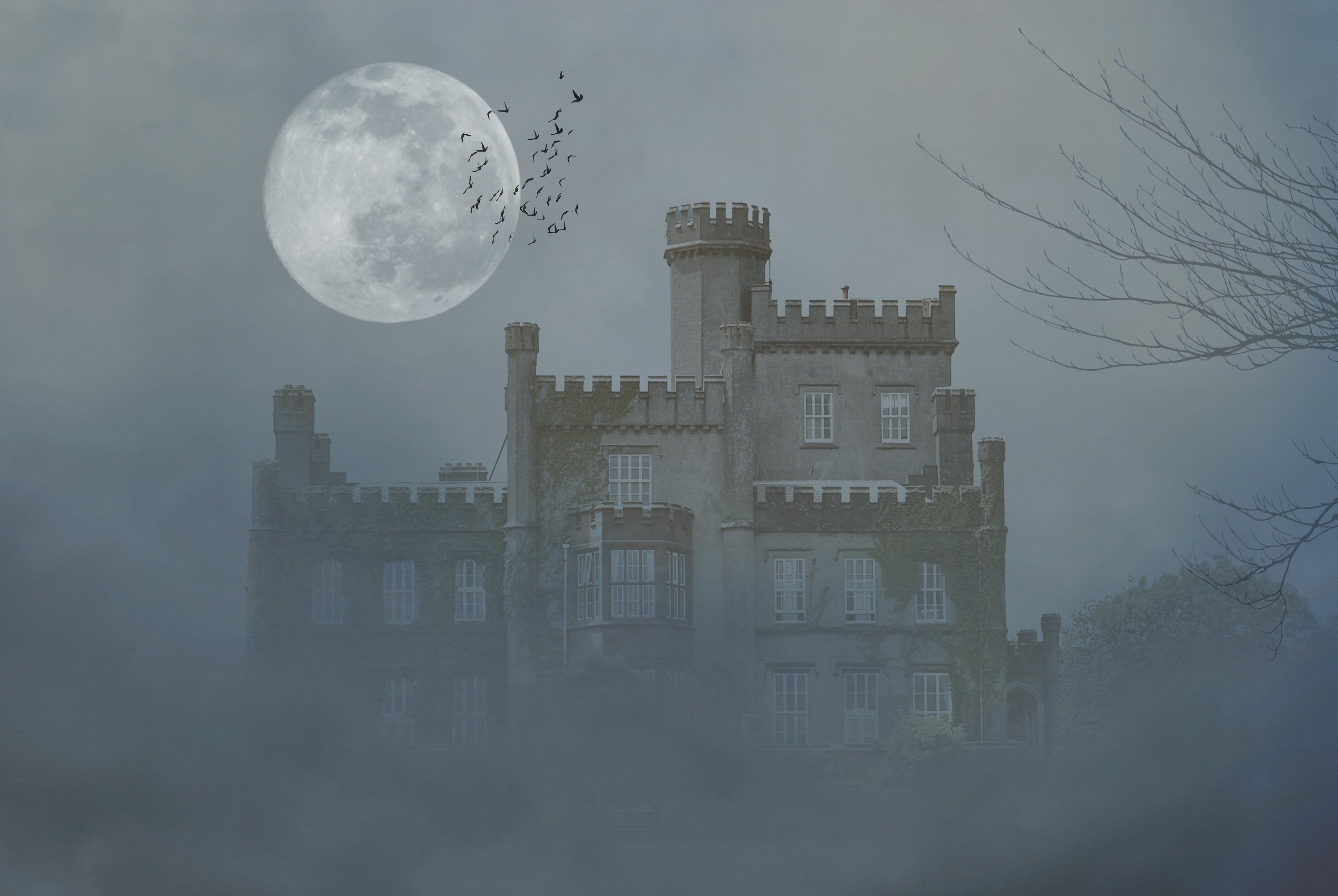 Загадочный замок. Замок Балморал в тумане. Старинный особняк в тумане. Готический замок.