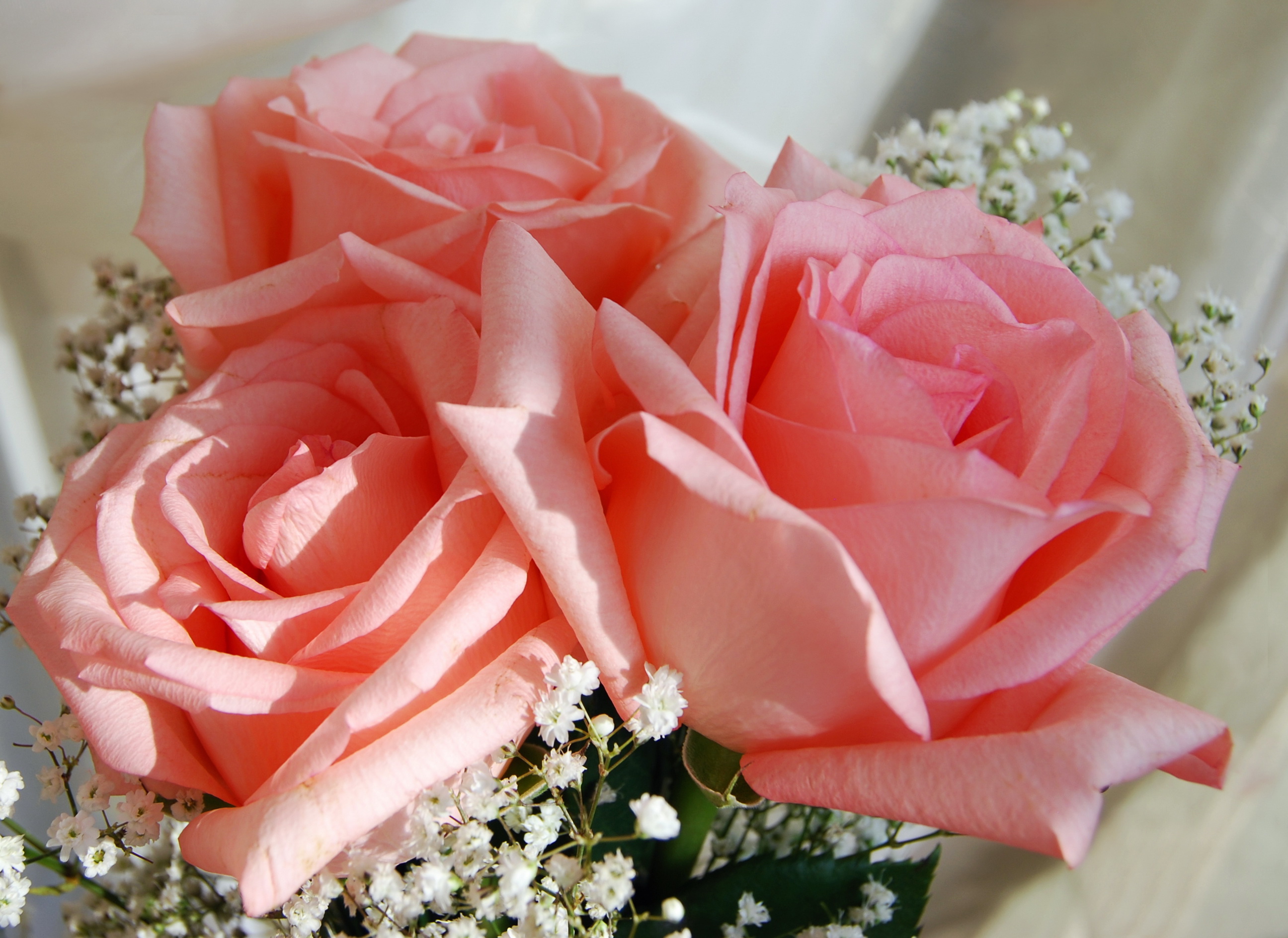 Самой милой даме. Шикарные цветы. Красивый букет цветов. Красивый букет роз. Букет цветов для любимой.
