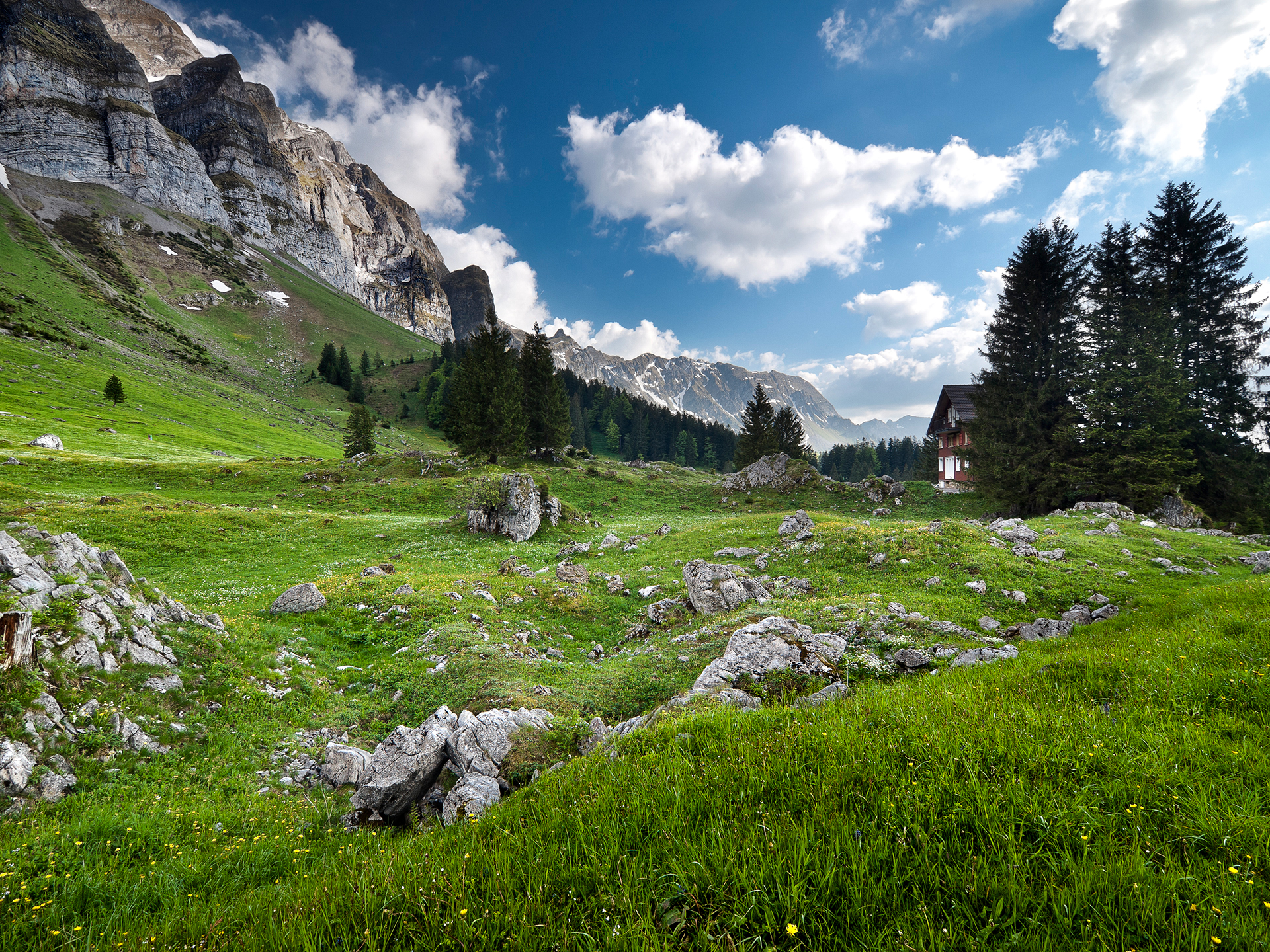 Alps mountains. Альпийские Луга Швейцария. Альпийские Луга Лихтенштейн. Швейцария горы Альпы пейзажи. Альпийские Луга Австрии.