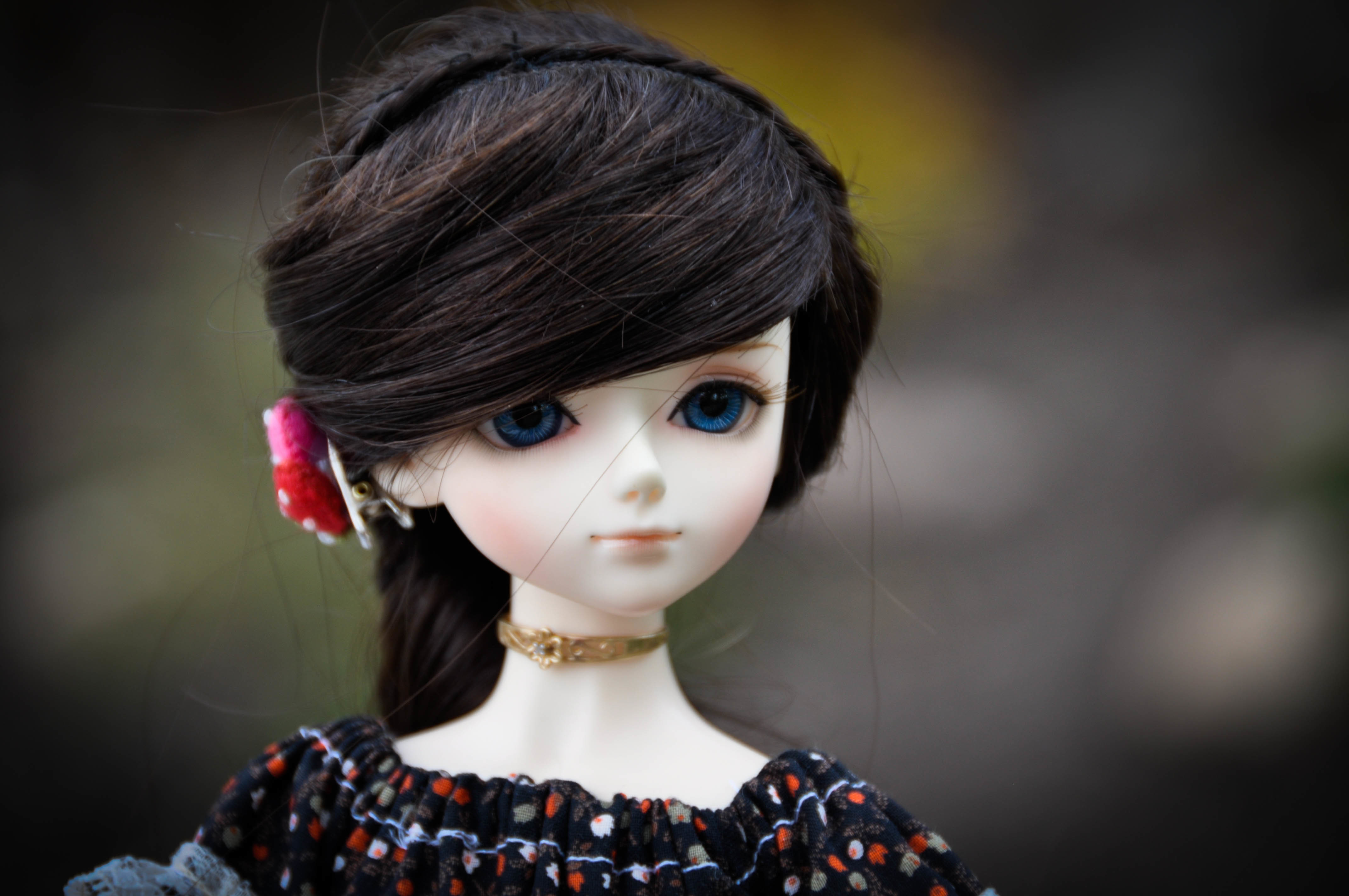 Куклы красивые волосы. Куклы Доллс. Самые красивые куклы. Фарфоровая кукла брюнетка. Кукла с черными волосами.