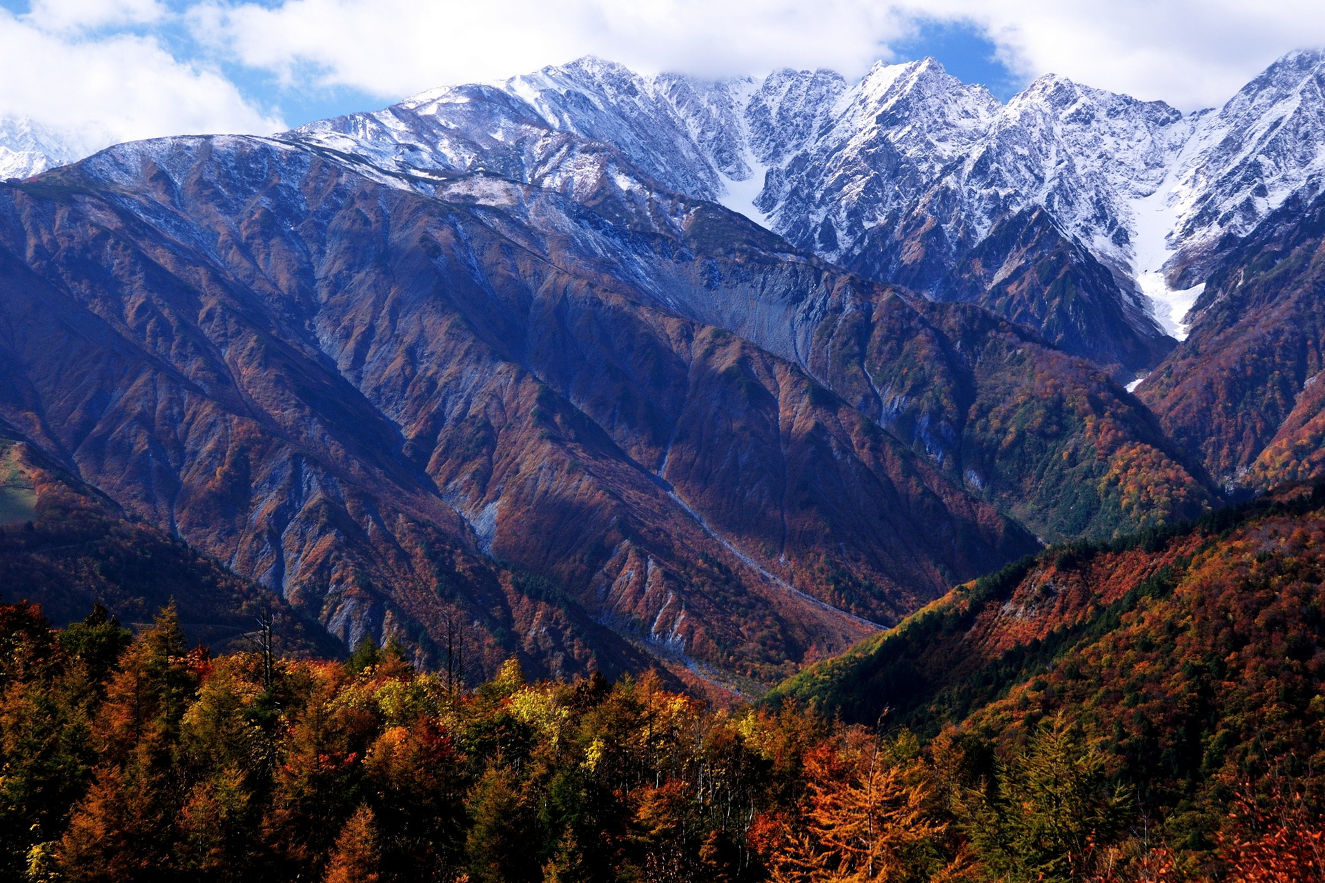 吉野山，日本奈良 (© Sean Pavone/iStock/Getty Images Plus)