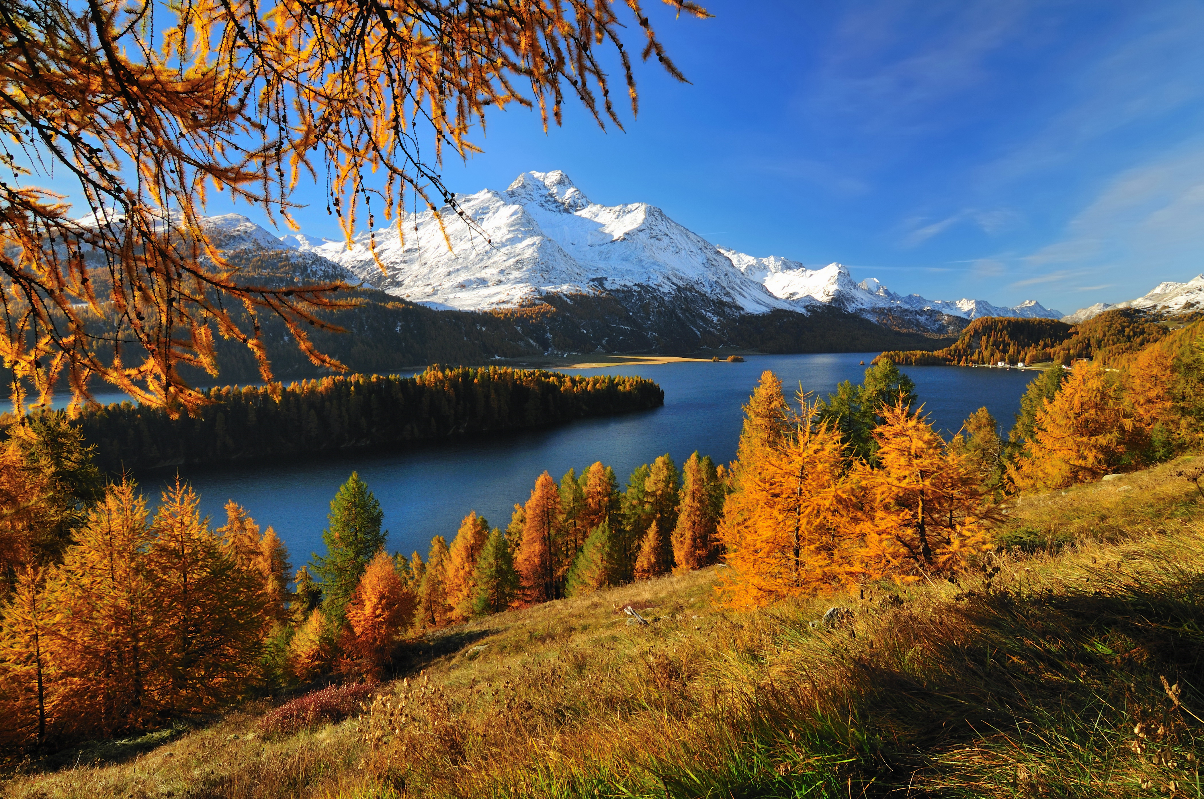 Канада малайзия. Осень в Альпах Швейцарии. Швейцария Альпы лес. Альпы озеро горы осень.
