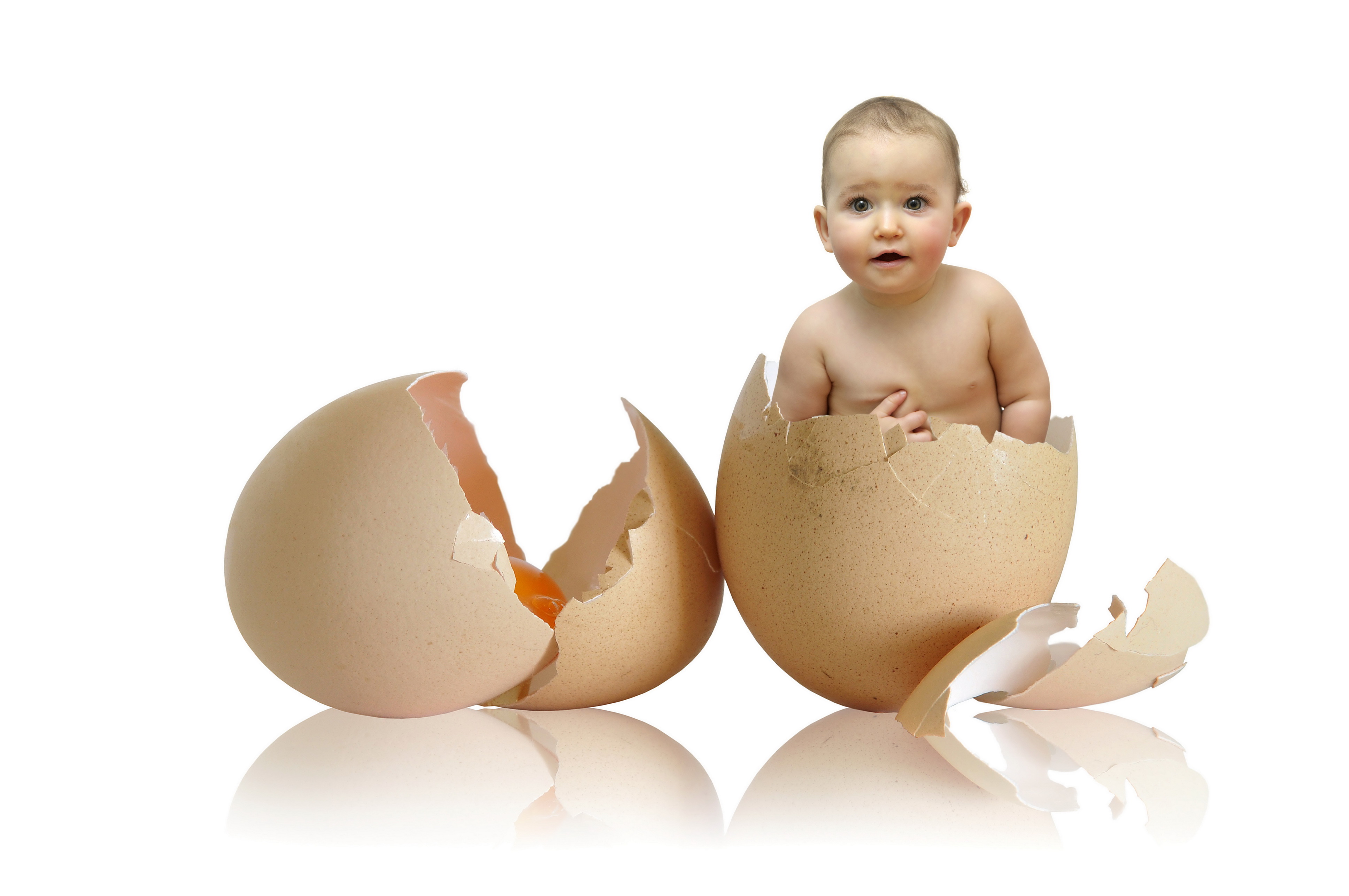 Ребенок вылупился из яйца