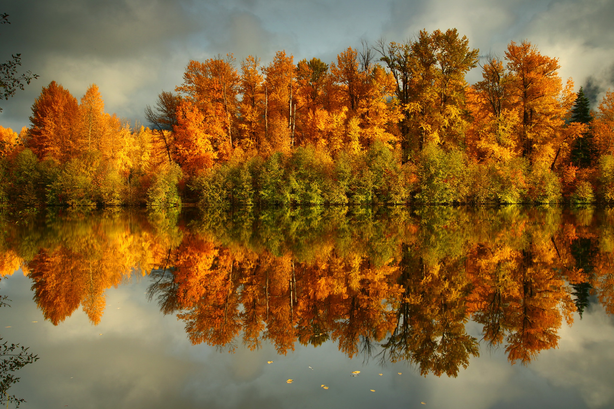 Осенний пейзаж. Осенний лес. Природа осень. Красивая осень. Природа осенью.