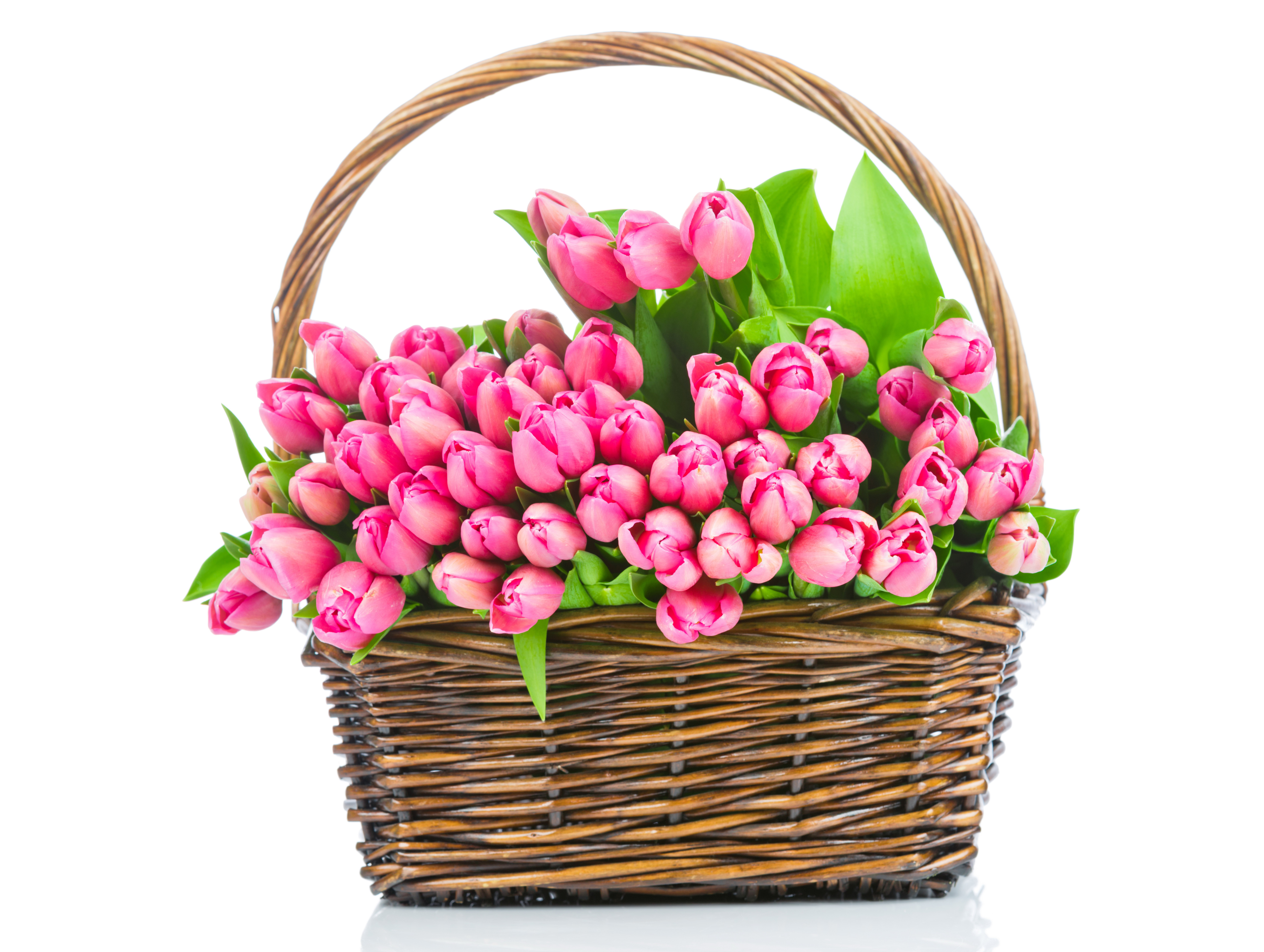 Тюльпаны в корзине картинки. Корзина с тюльпанами. Корзина с весенними цветами. Букет тюльпанов. Корзина цветов «Весенняя».