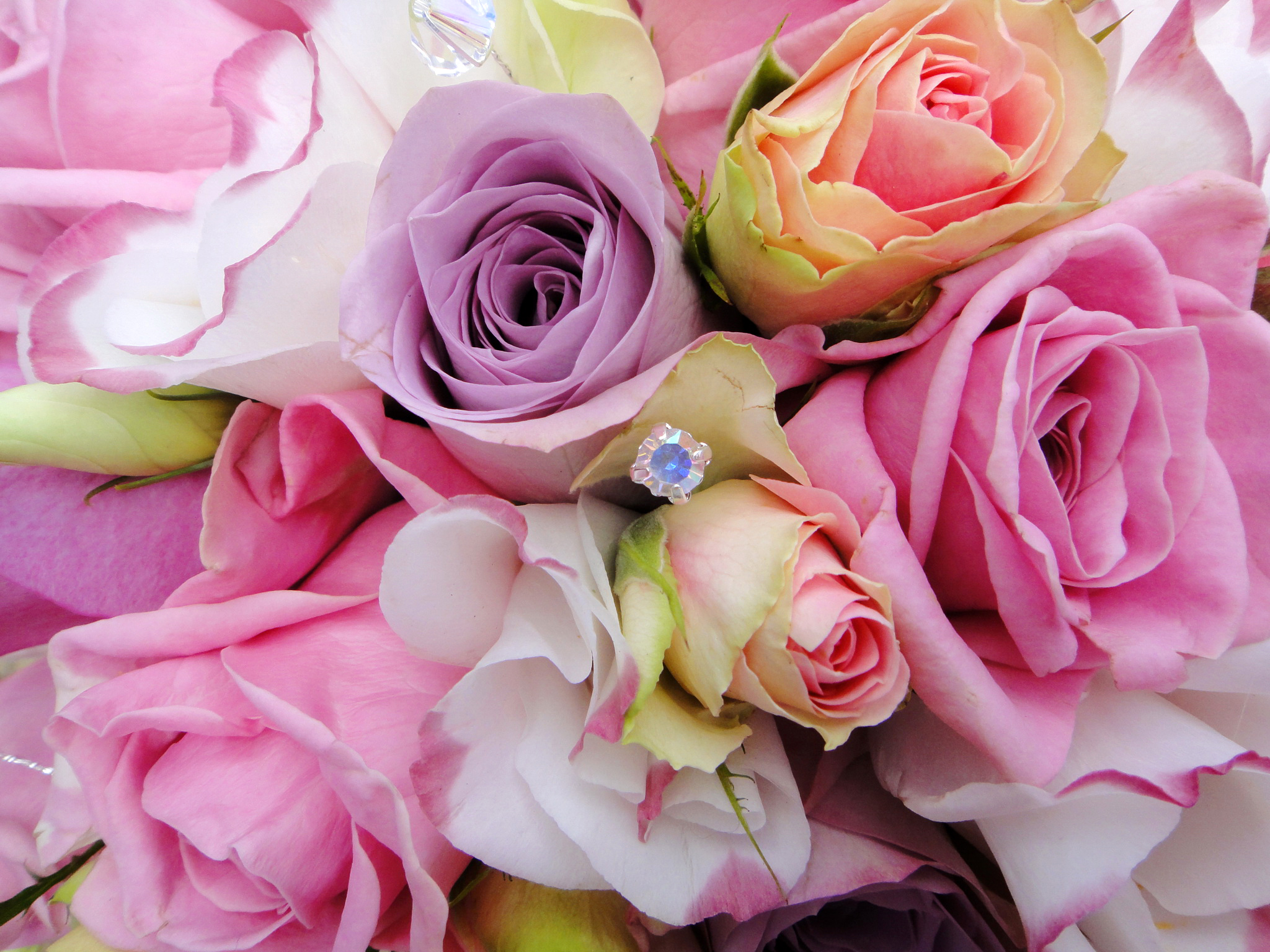 Sfondi del desktop Mazzo di fiori rosa Fiori lisianthus bouquet Rose fiore Eustoma