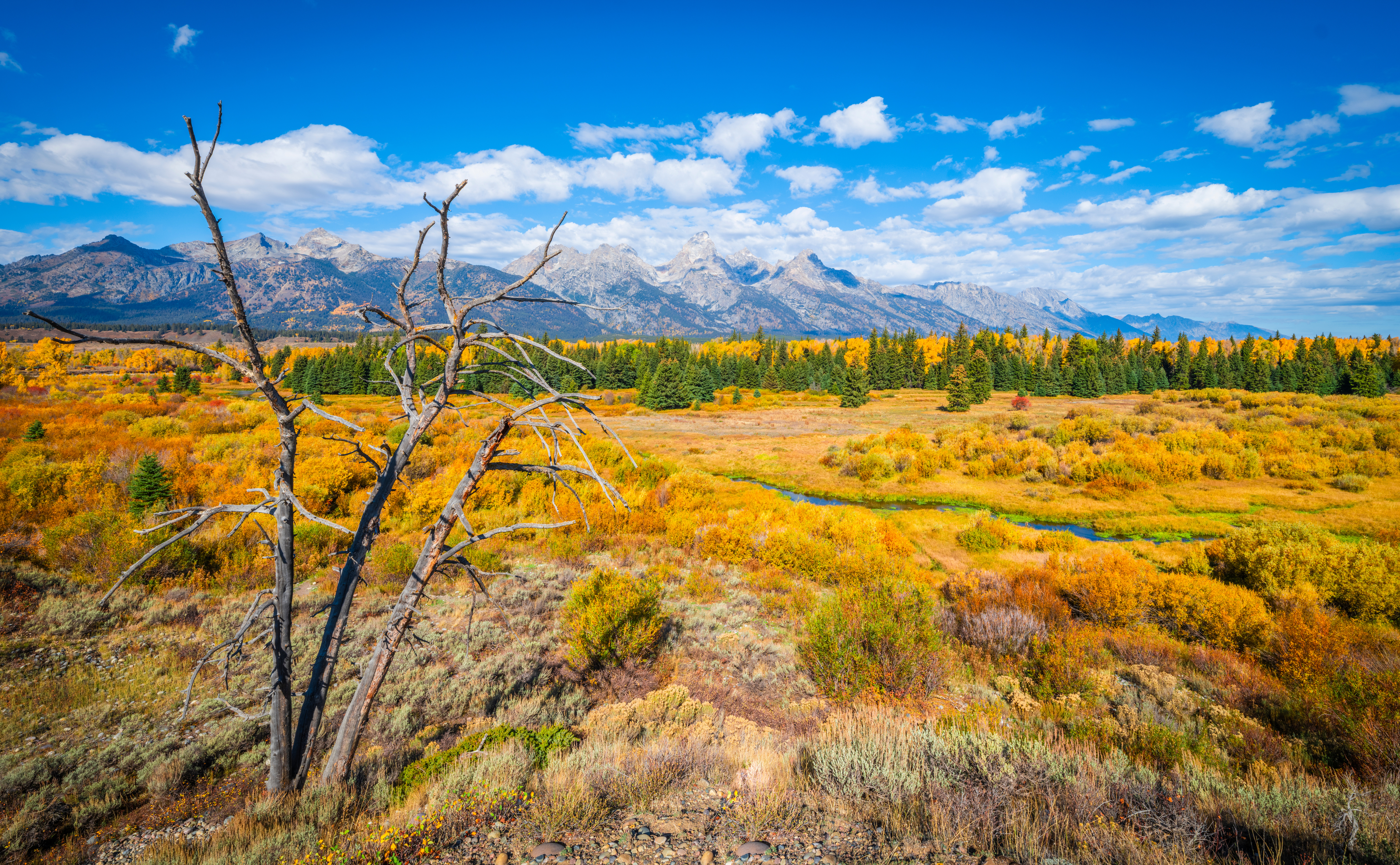 Sfondi del desktop USA Grand Teton National Park Natura Autunno montagna parchi Paesaggio stati uniti Montagne Parco