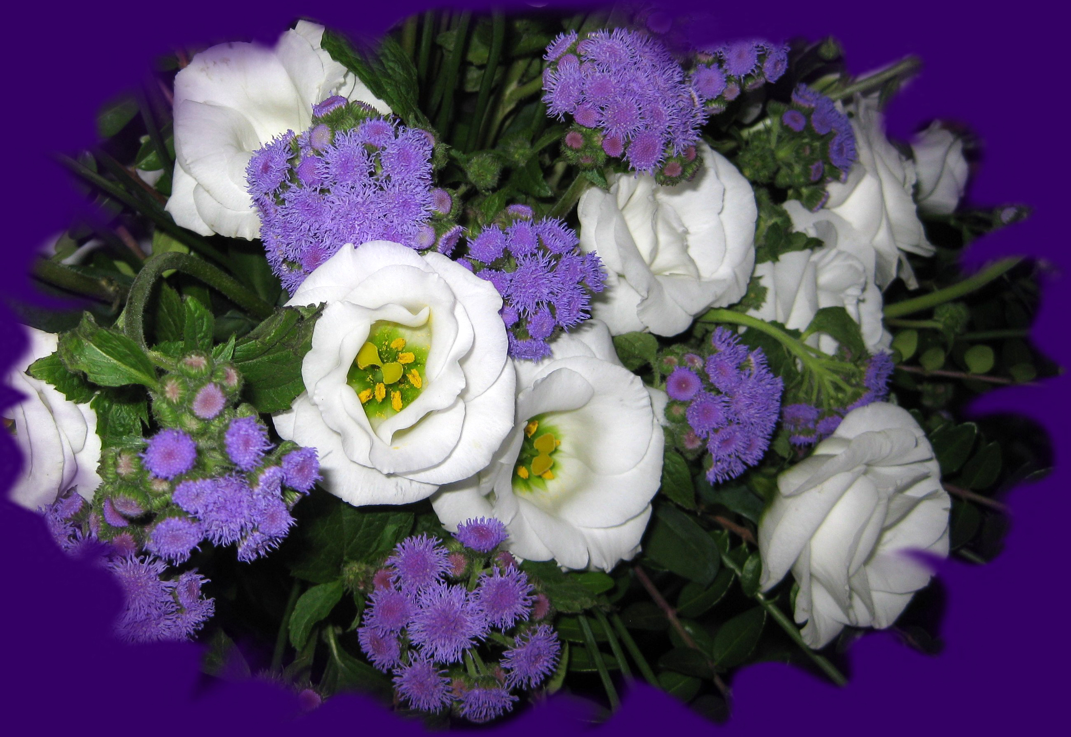 Фото Букеты цветок Эустома 2090x1438 букет Цветы Лизантус