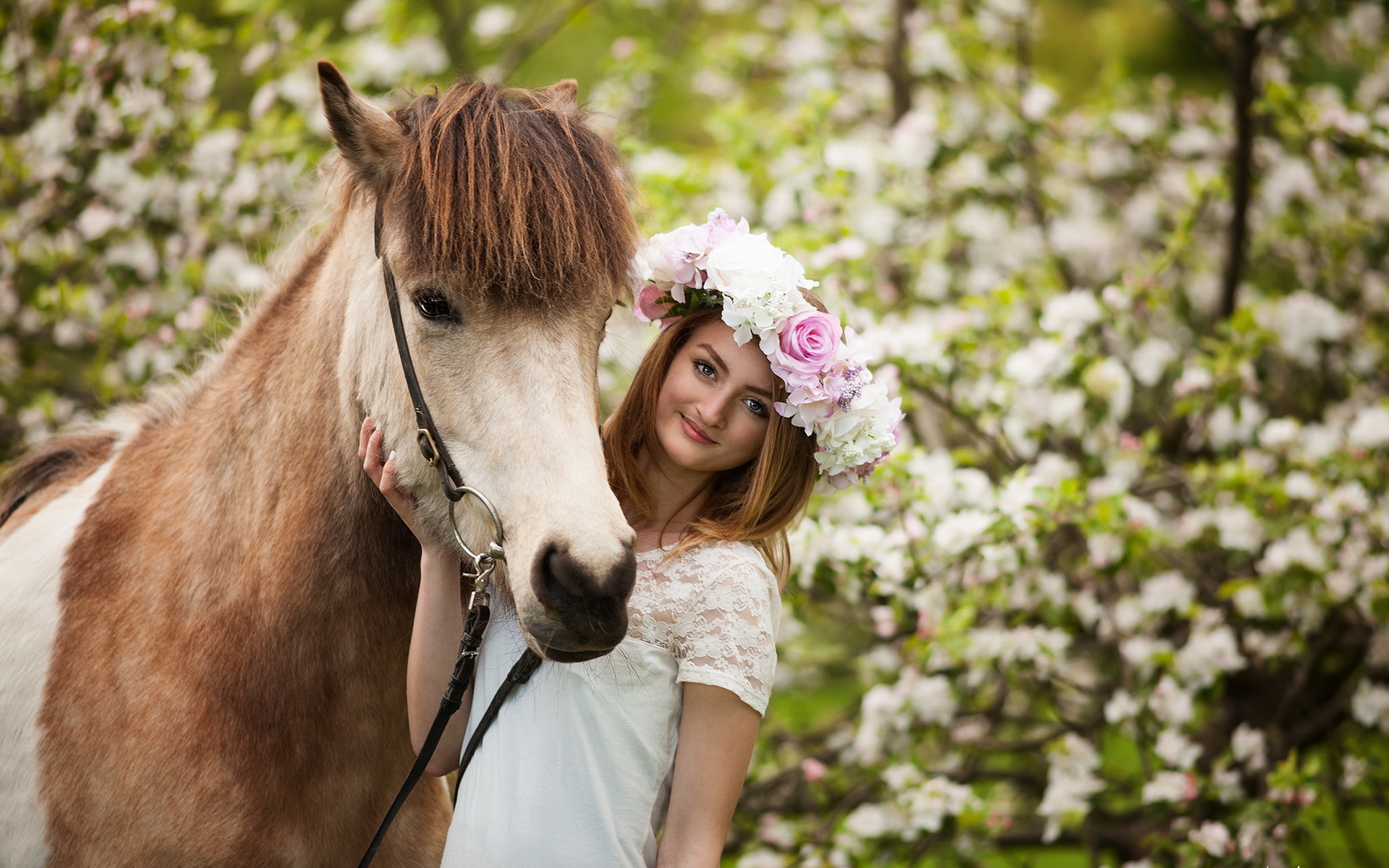 С молодыми животными девушки. Фотосессия с лошадьми. Девушка с лошадью. Лошадь в цветущем саду. Девушка на коне.