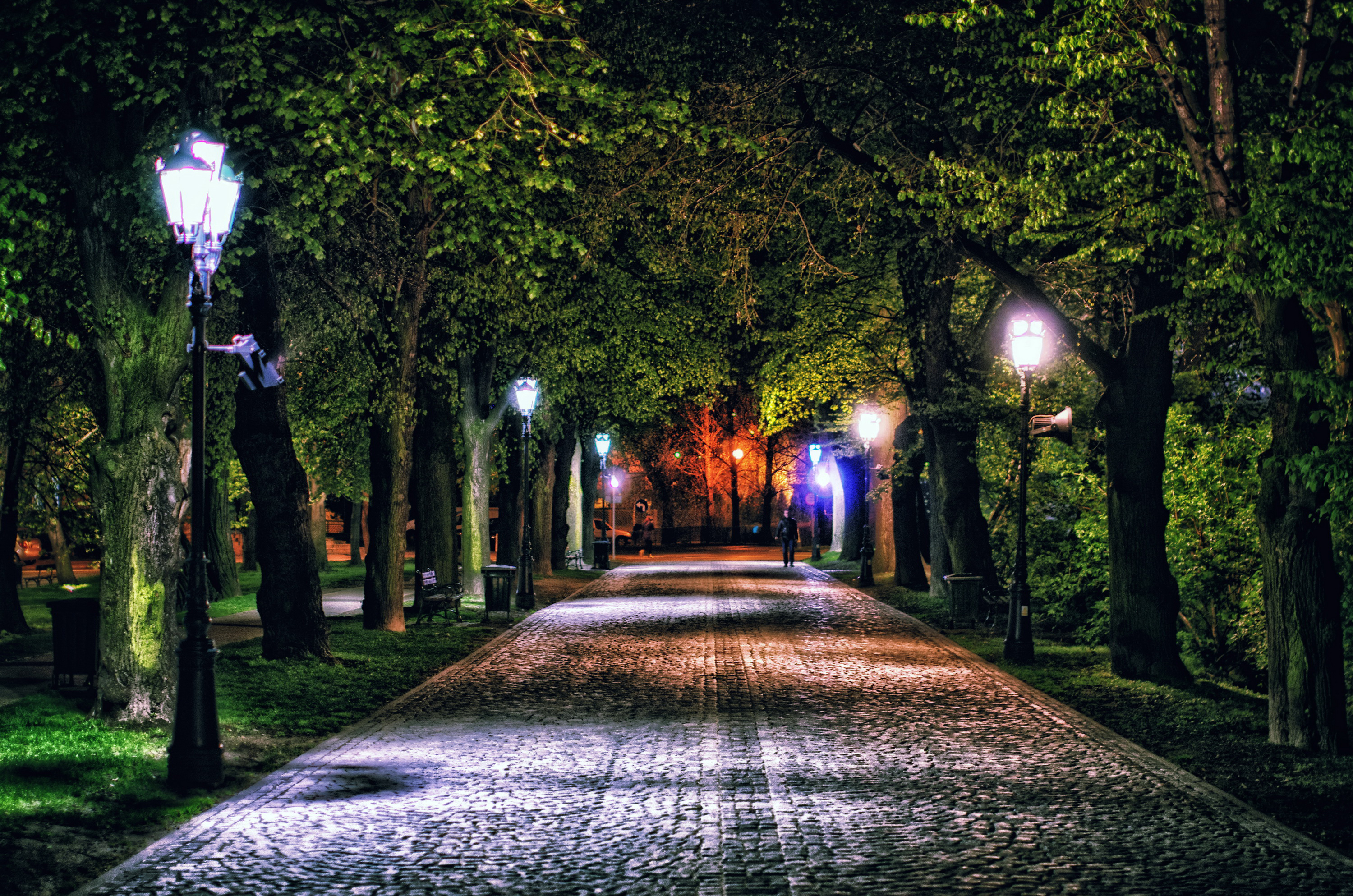 Вечер улица фонарь. Краснодар сквер осень ночь. Парк фонарей Ульяновск. Вечерний парк. Парк ночью.