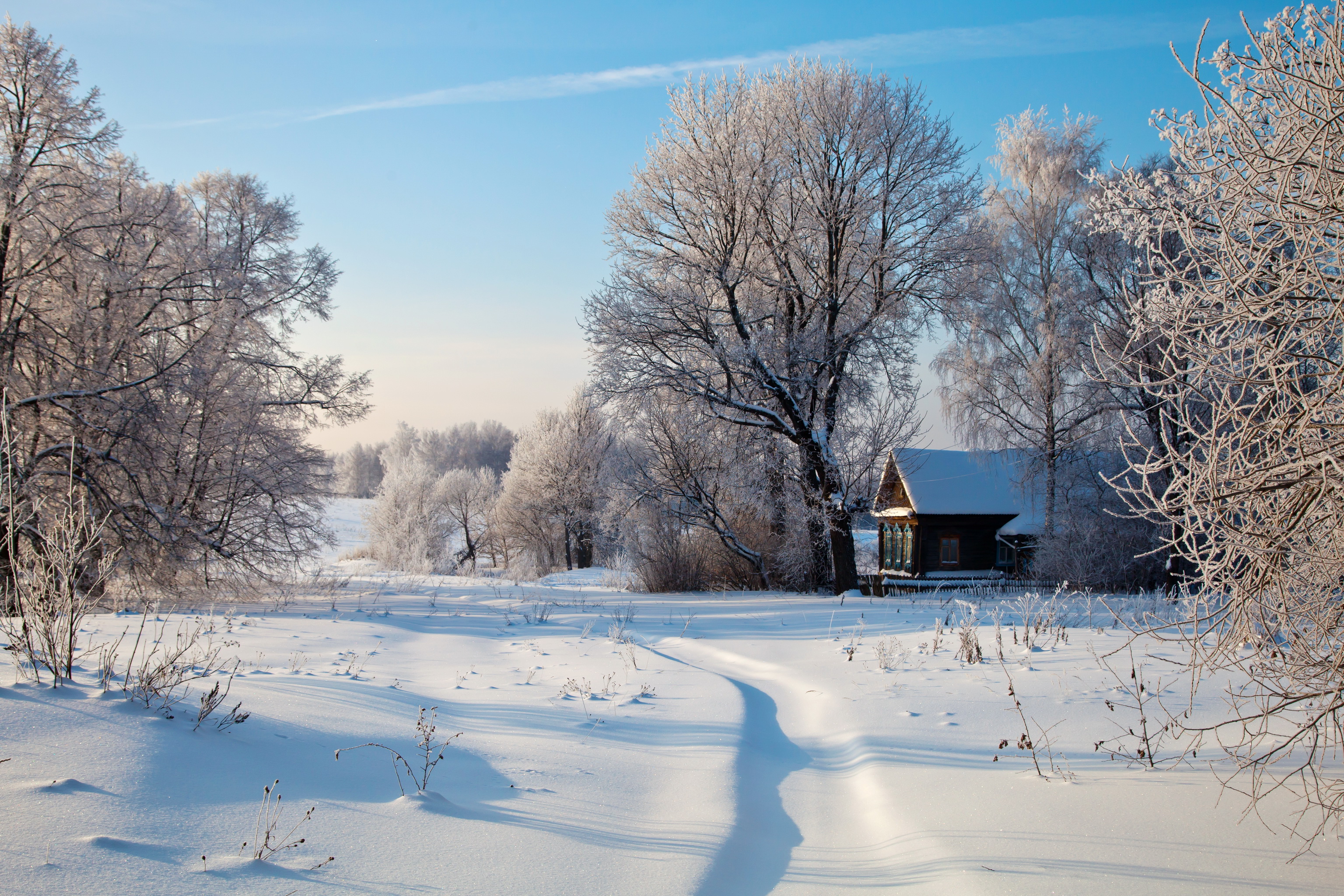 обои зима в деревне русская