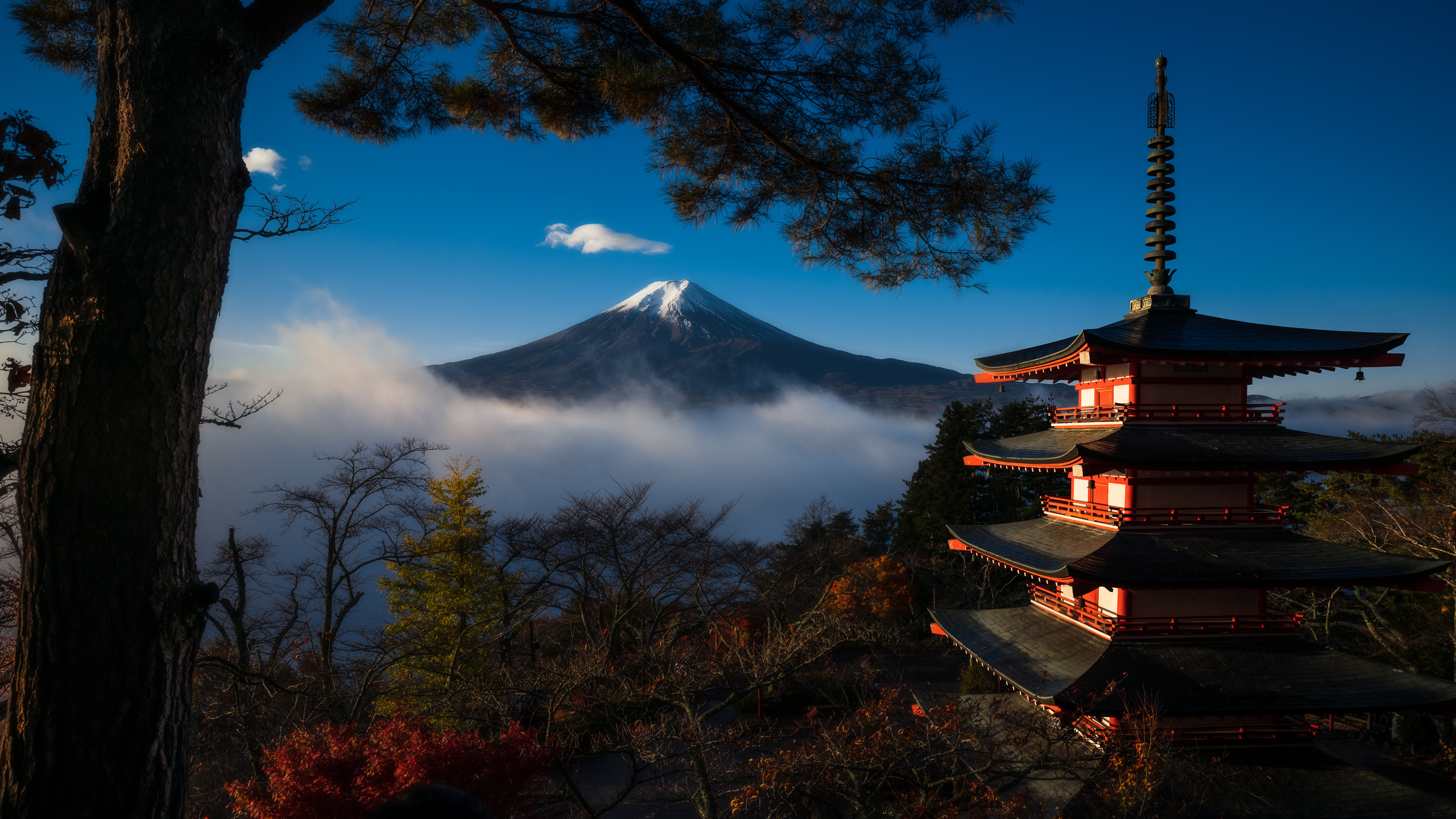 壁紙 3000x16 山 パゴダ 日本 富士山 Mount Fuji Honshu 木 自然 ダウンロード 写真
