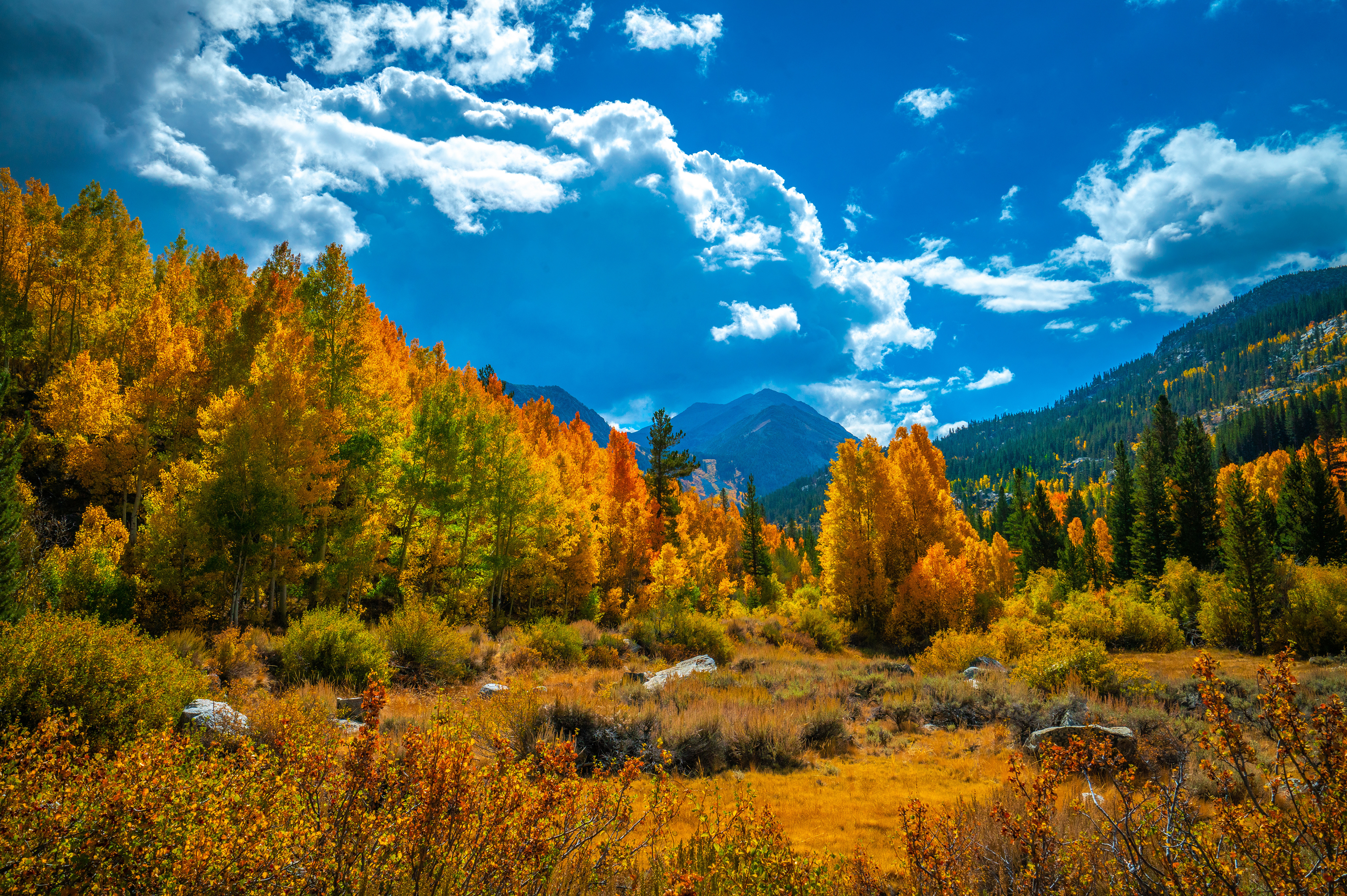 壁紙 51x3405 美国 山 秋季 風景攝影 加利福尼亚州 树 云 大自然 下载 照片