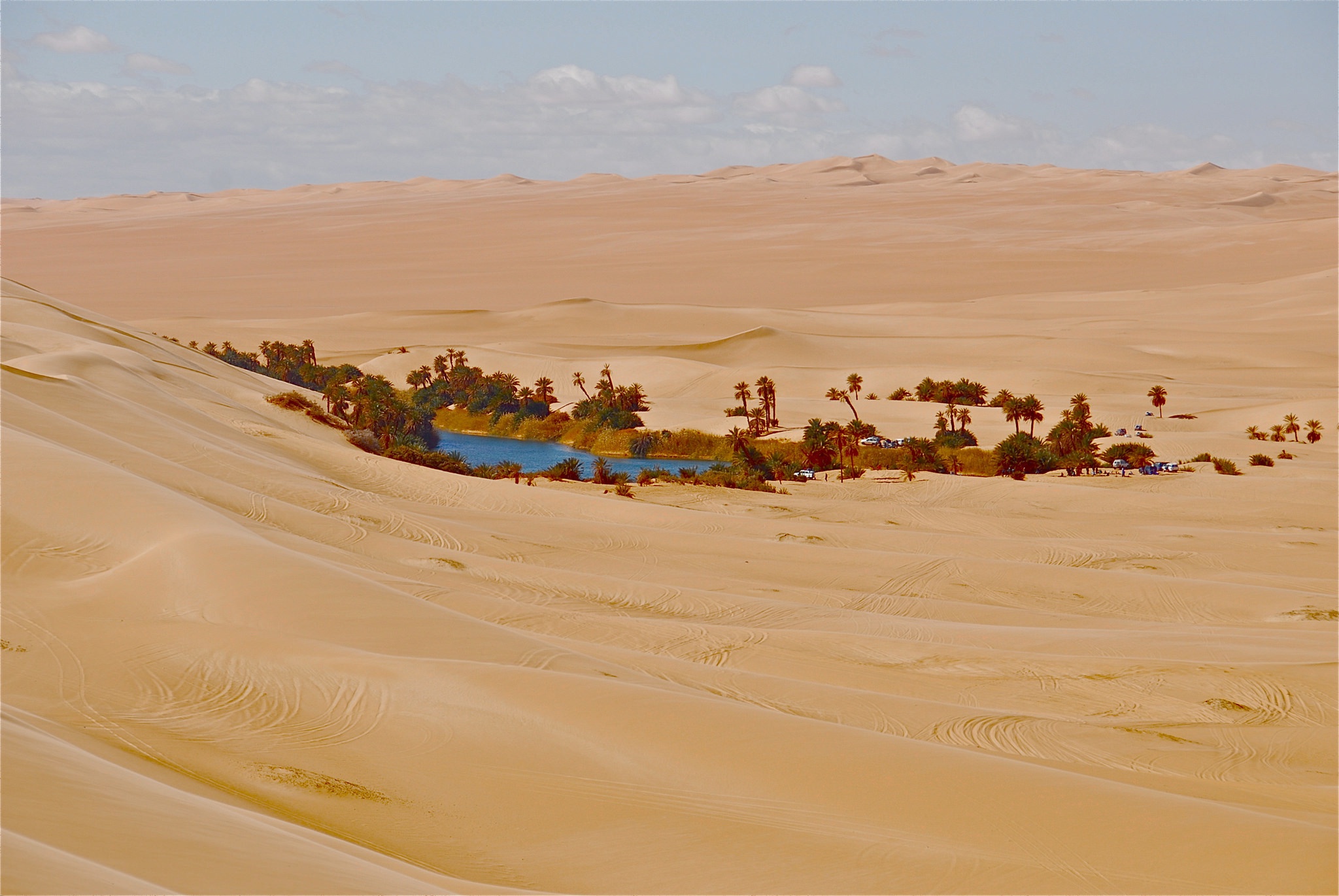 壁紙 48x1371 砂漠 Sahara Oasis 砂 自然 ダウンロード 写真