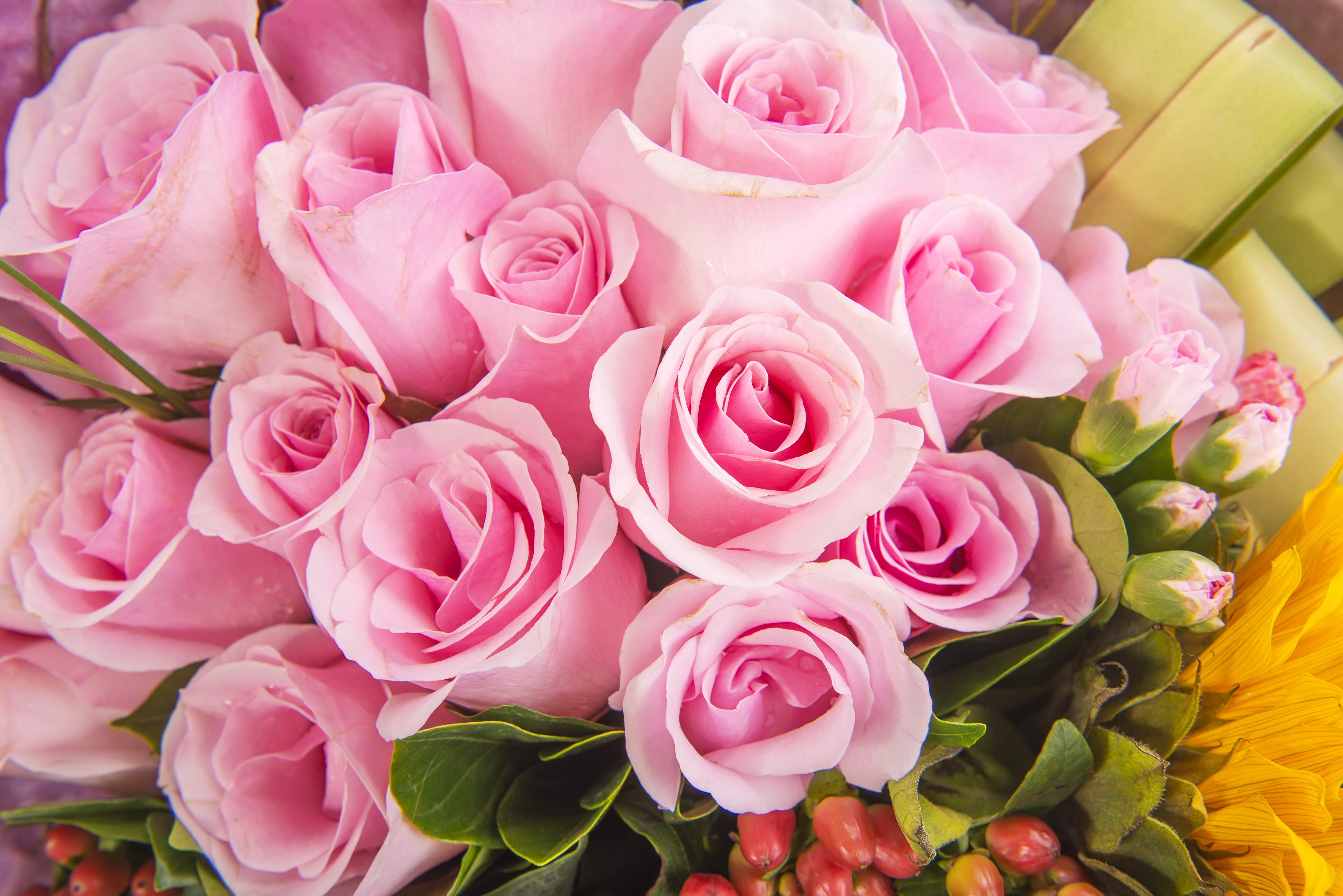 Tapeta na pulpit bukiet róża różowe Kwiaty 6000x4004 Bukiety Róże różowa Różowy kolor kwiat