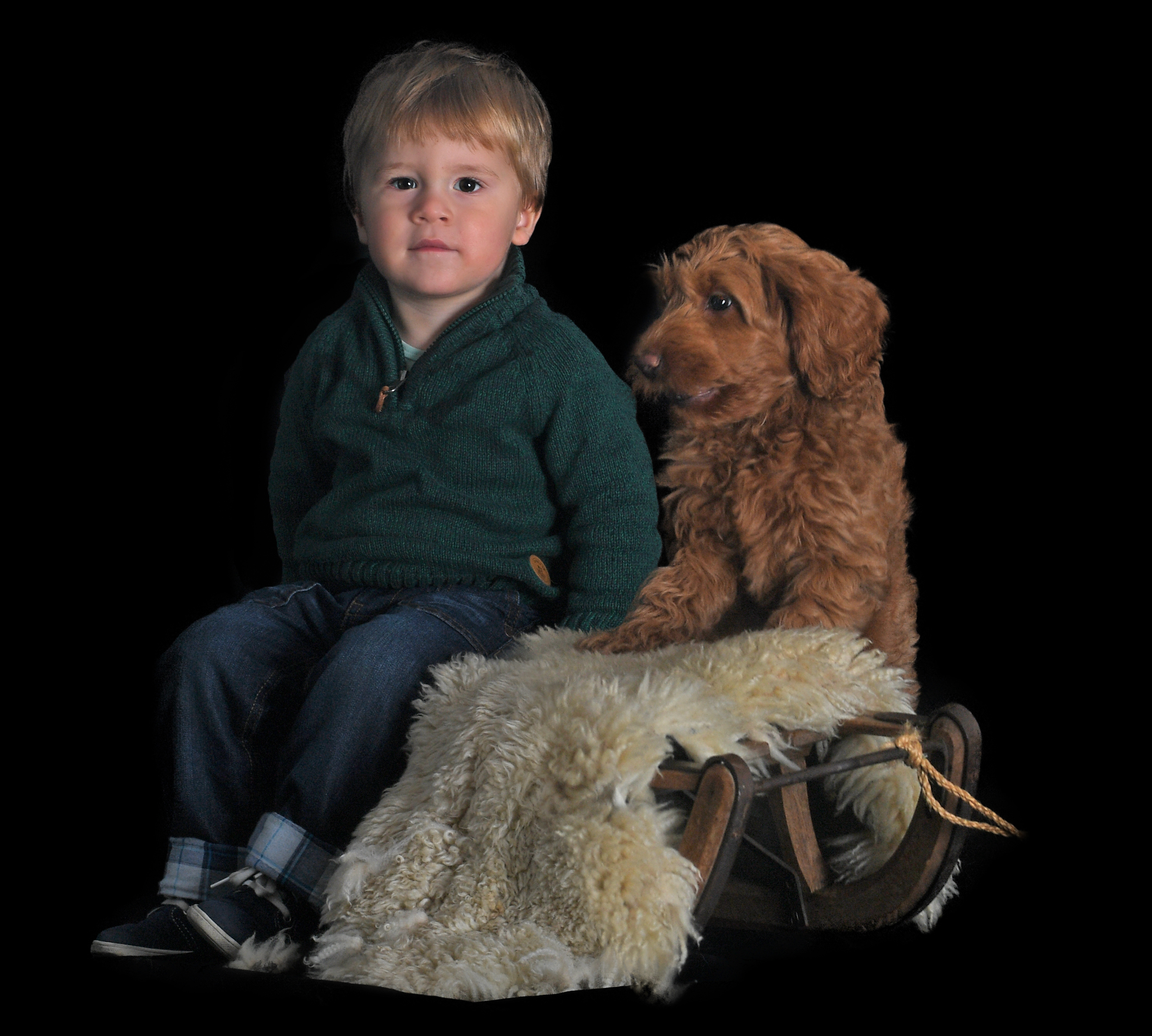 Мальчик с собакой описание. Лабрадудль. Мальчик с собакой. Фотография малышей лабрадудлей. Лабрадудель большой.