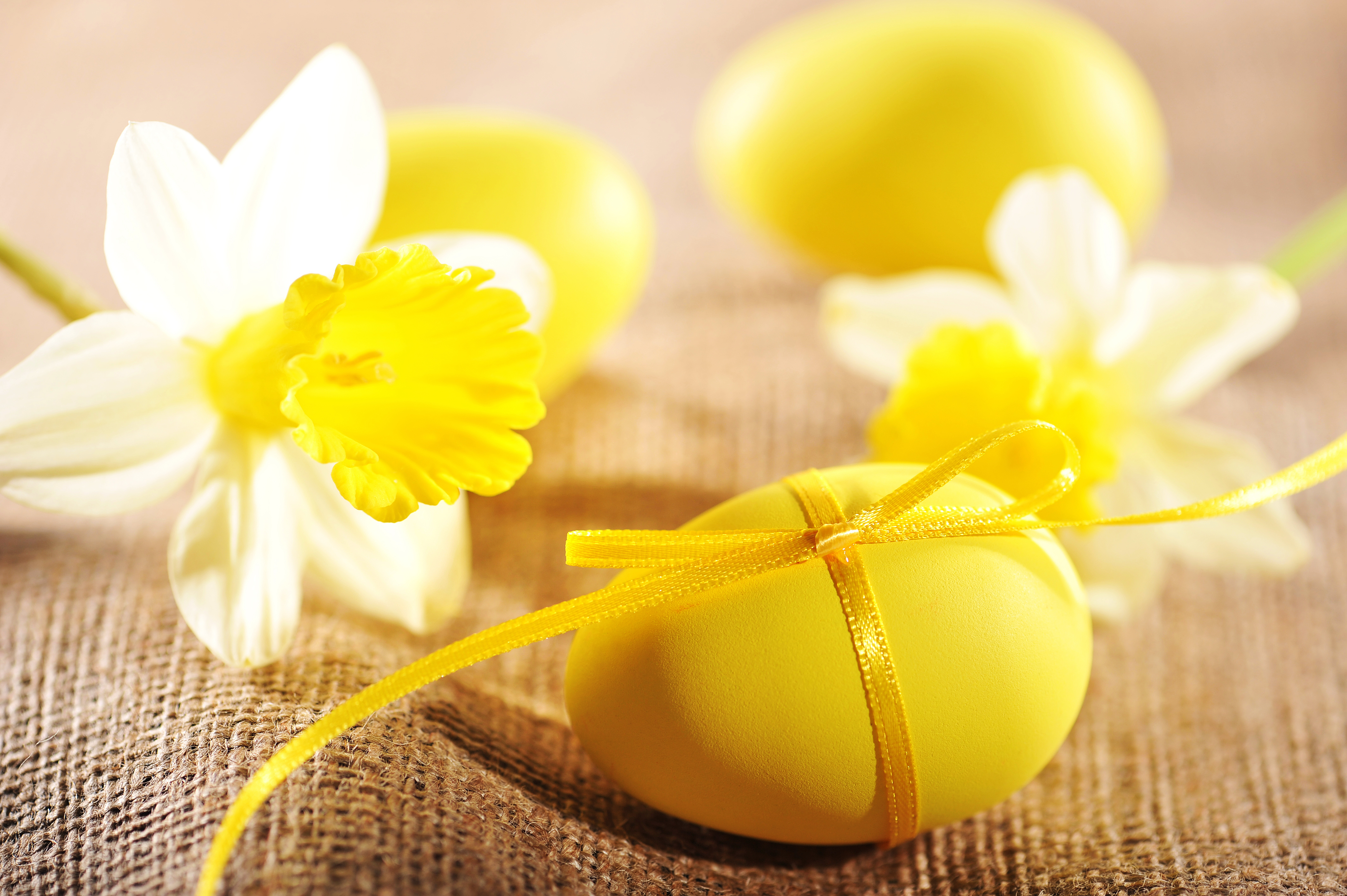 Нежно яички. Пасхальное яйцо. Желтые пасхальные яйца. Желтые яйца на Пасху. Пасха в желтом цвете.
