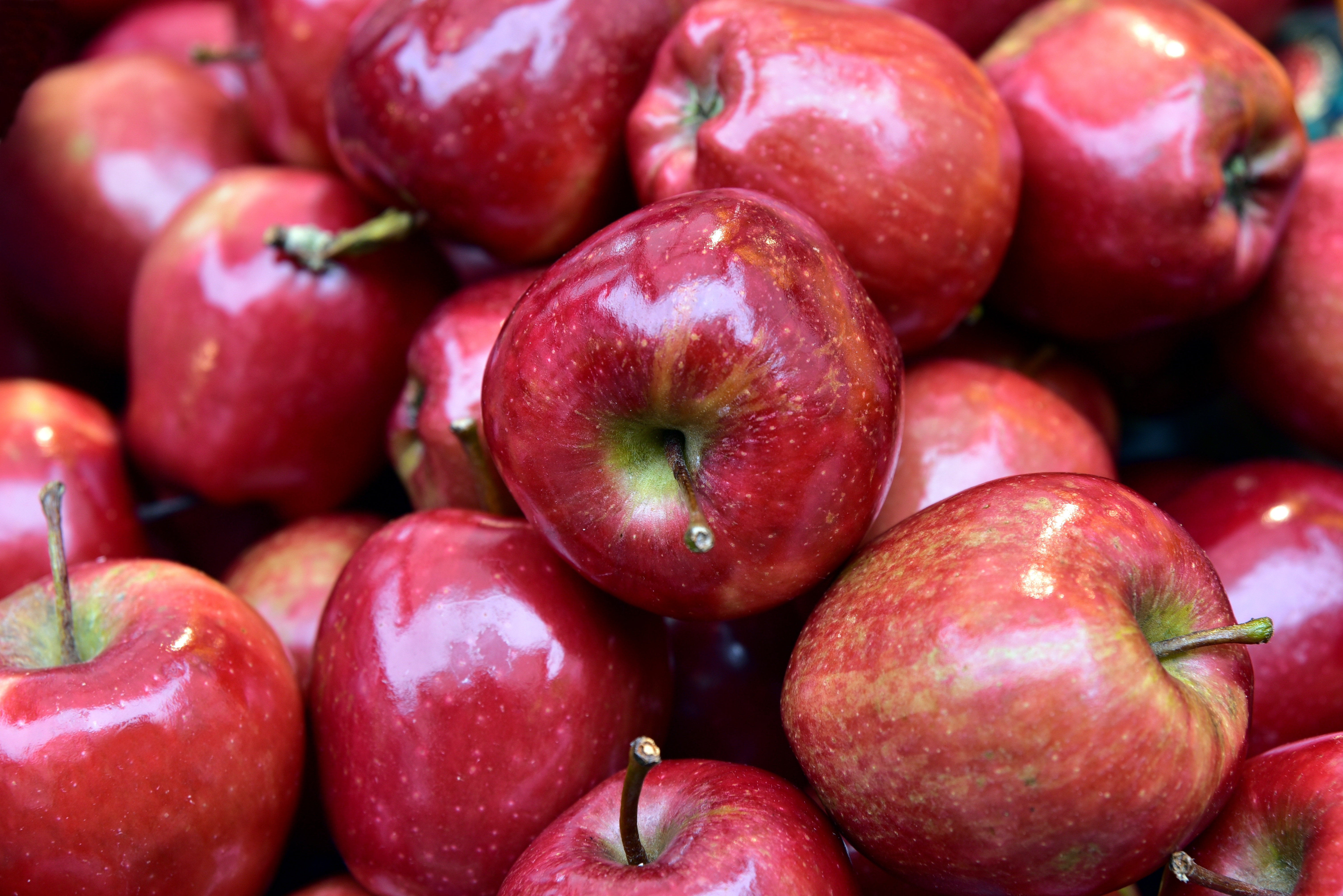 Photos Red Apples Food Many 6016x4016