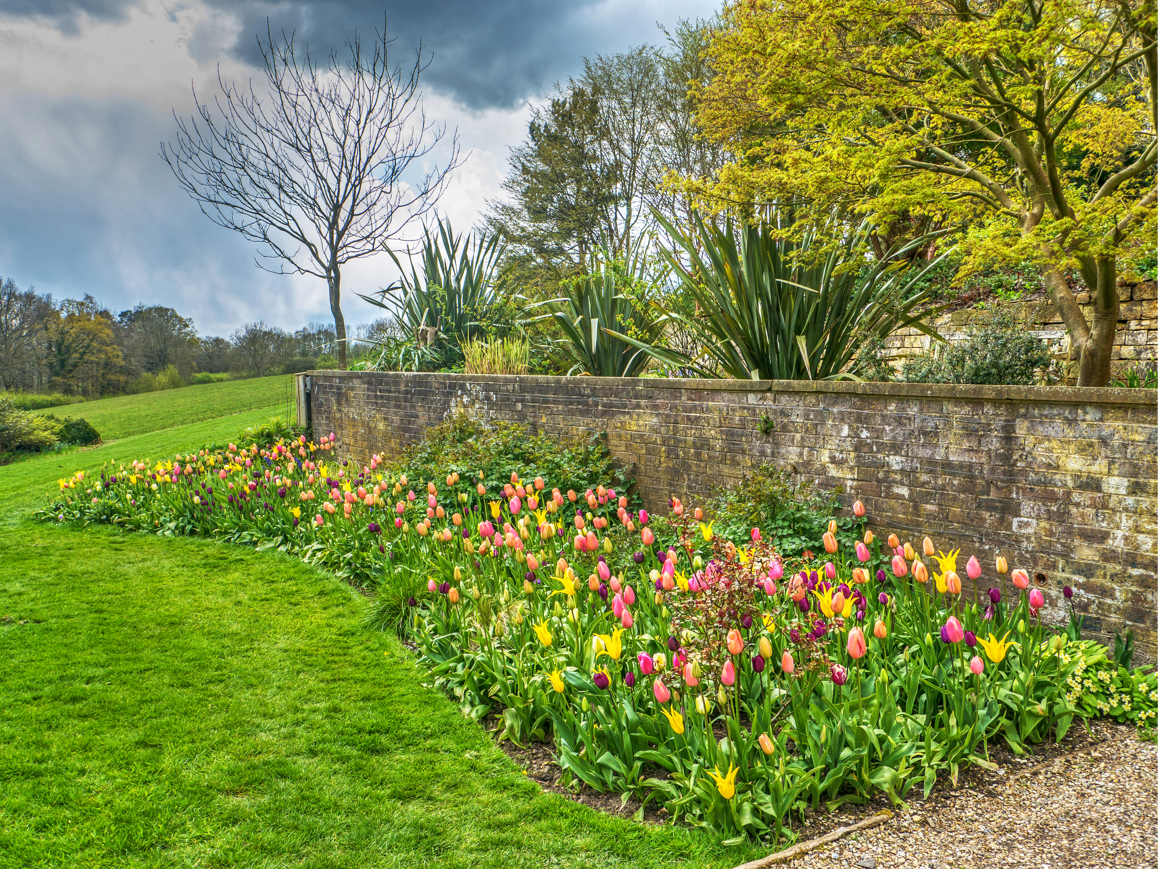 Picture England Standen House And Garden Tulip Nature 4000x3003