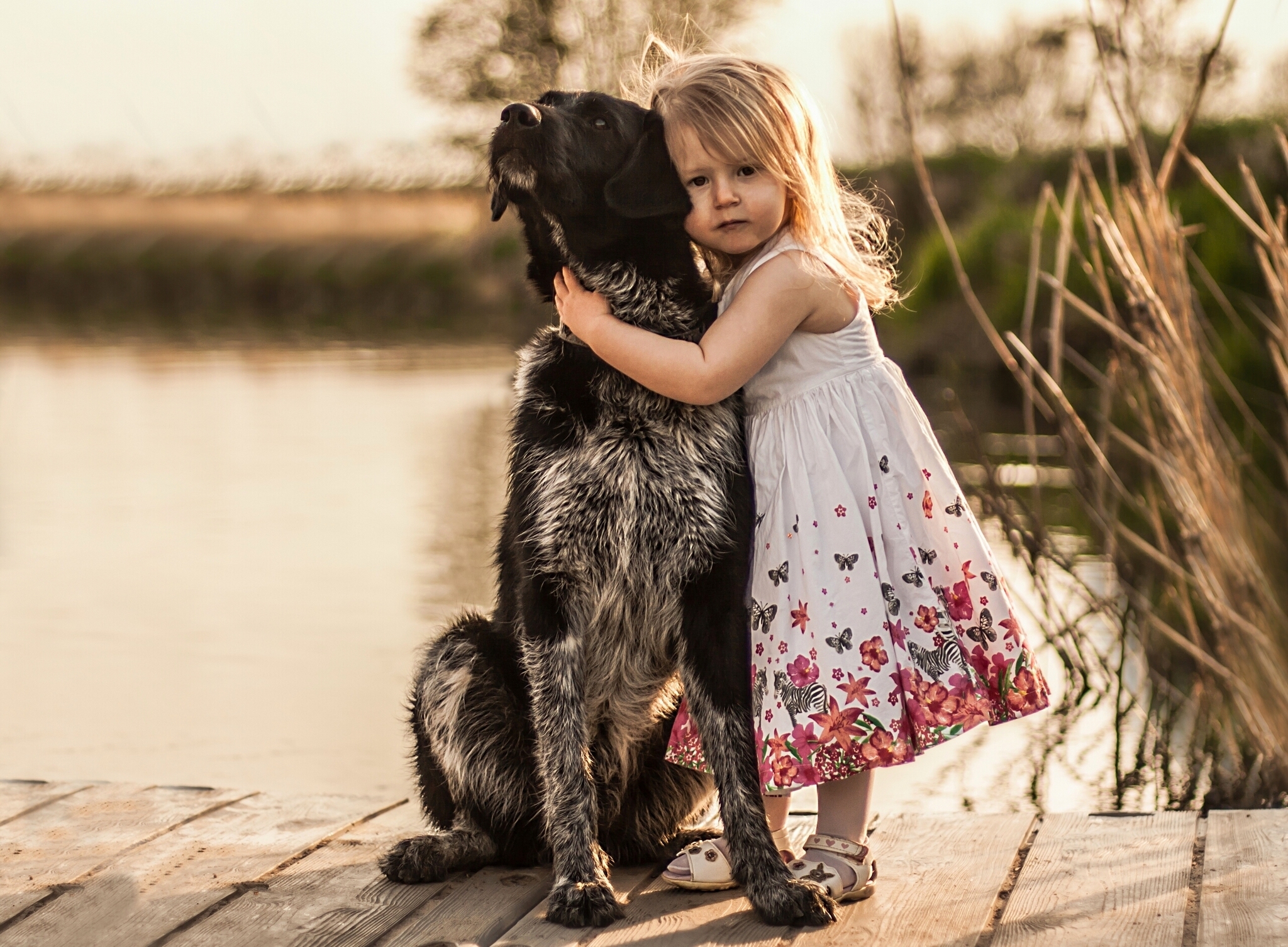 Любовь к животным. Для детей. Животные. Девочка с собакой. Маленькие дети и животные.