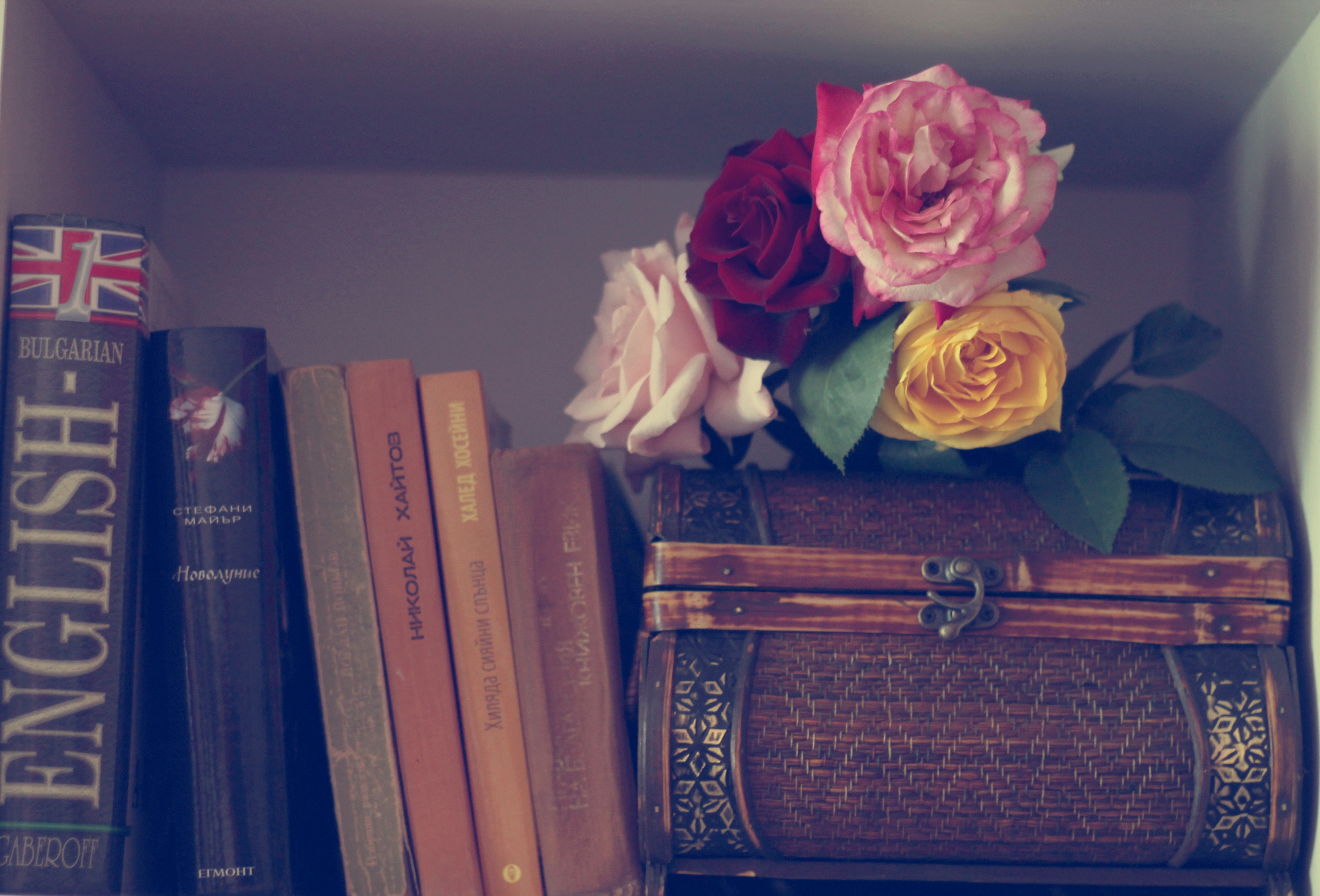 Фотография Розы цветок Книга роза Цветы книги