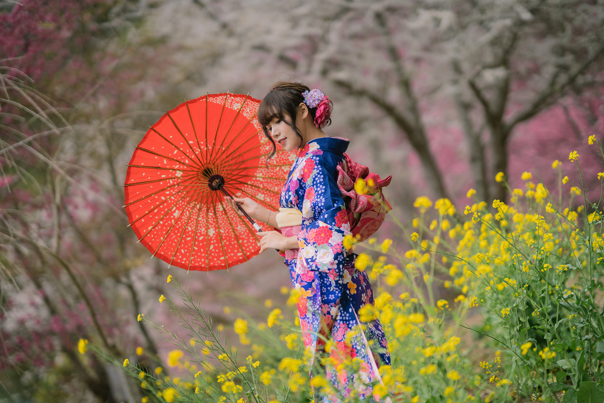 Bakgrundsbilder Kimono Unga kvinnor Asiater Paraply ung kvinna asiatisk