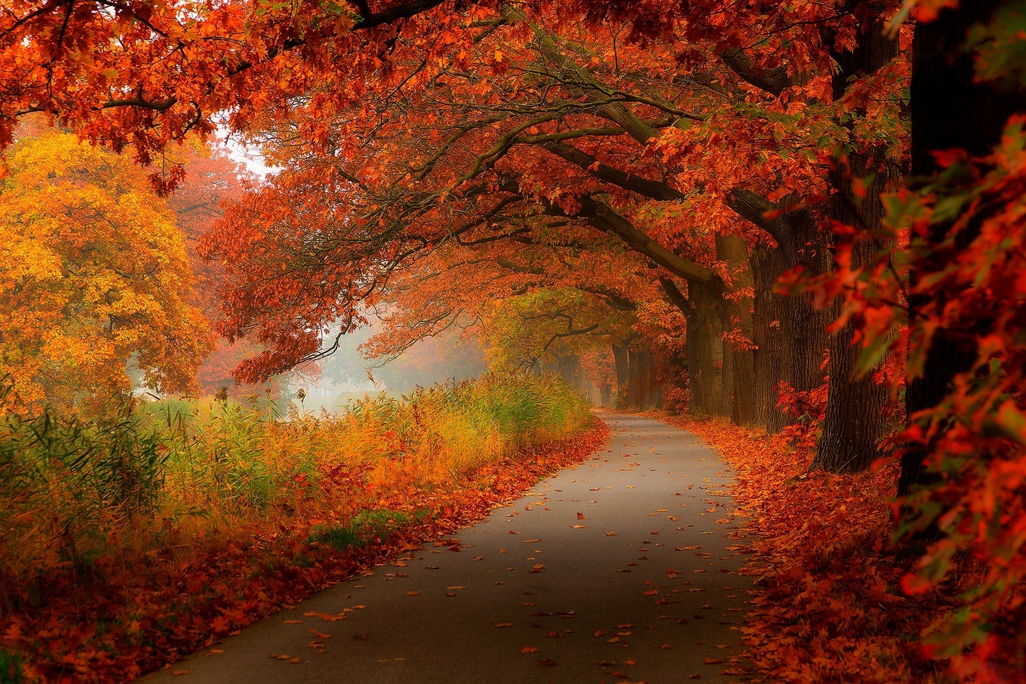 Осенью очень красиво. Красивая осень. Осенний пейзаж. Осень картинки. Прекрасная осень.