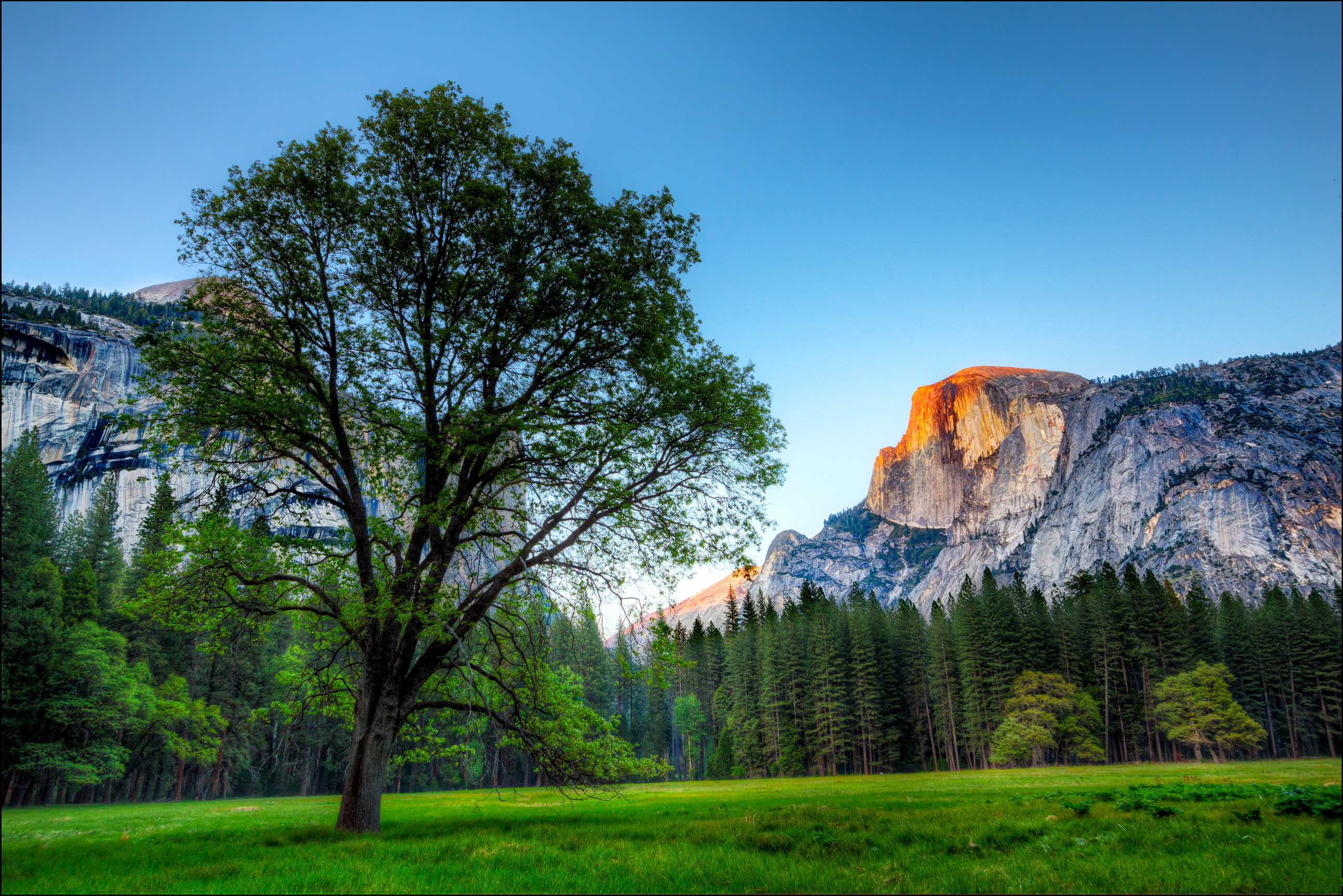 Fondos de Pantalla 2584x1724 Parque EE.UU. Fotografía De Paisaje Yosemite  árboles Naturaleza descargar imagenes