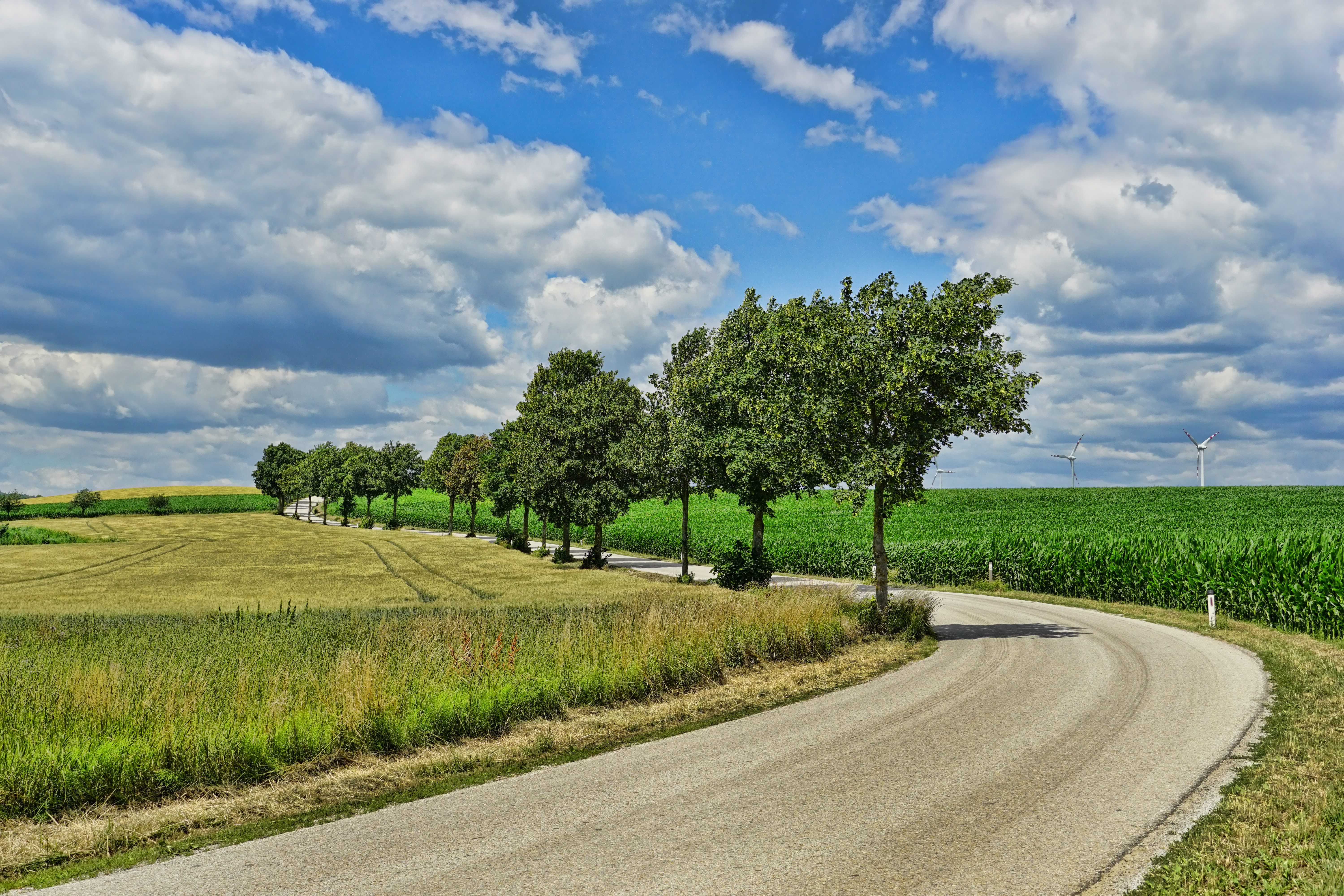 Field roads. Проселочная дорога с деревьями. Дорога в поле. Поле с дорогой. Летняя дорога.